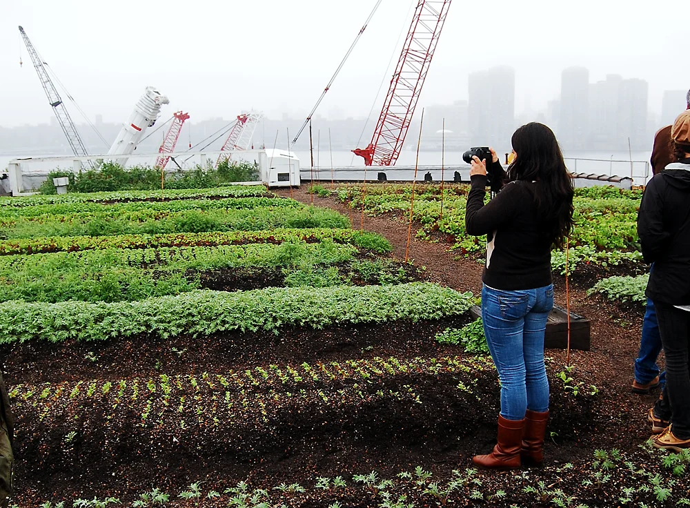 8 Future Farms To Change How We Grow Food - Fast Company