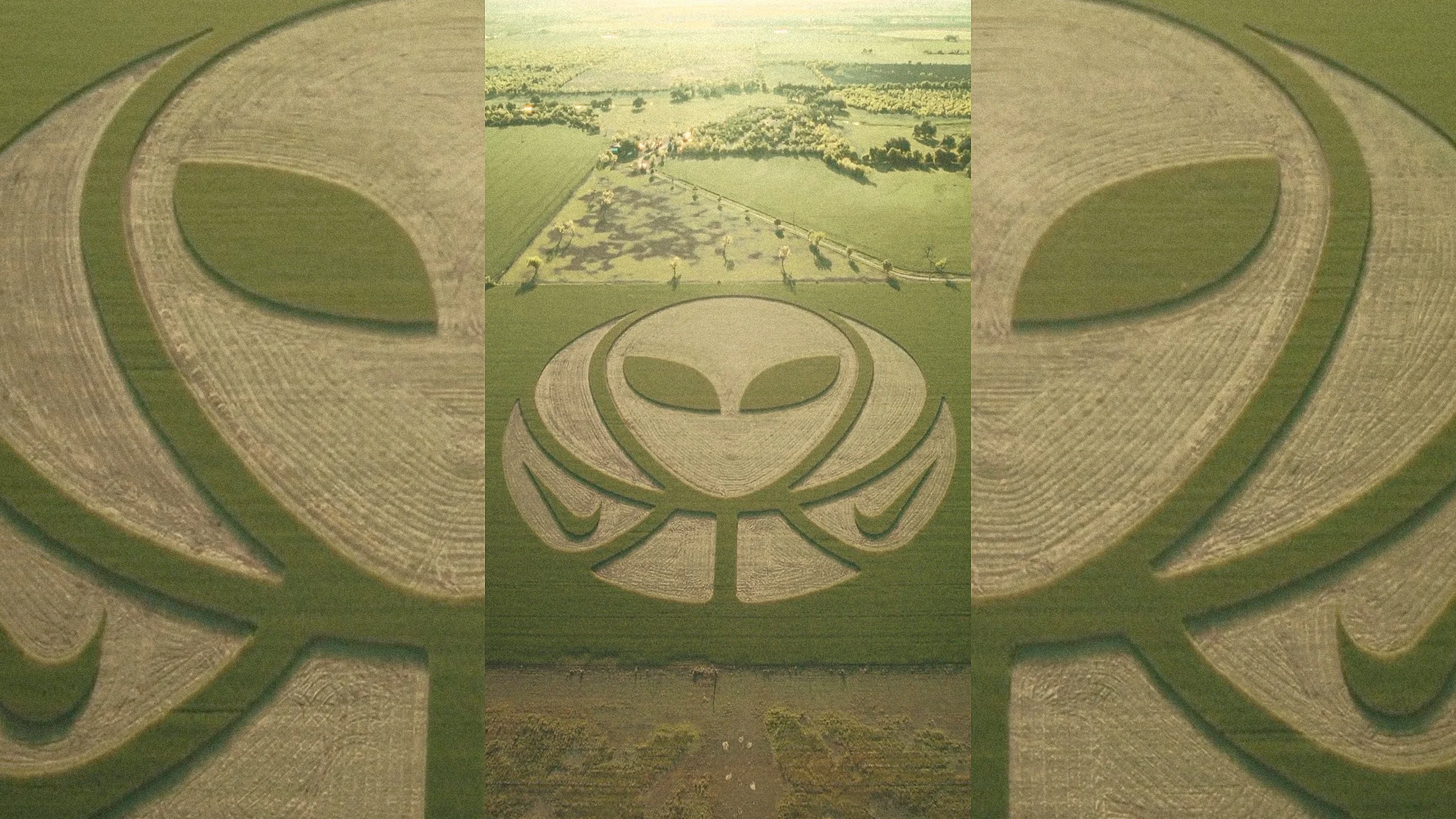 Alien Crop Circle Nike