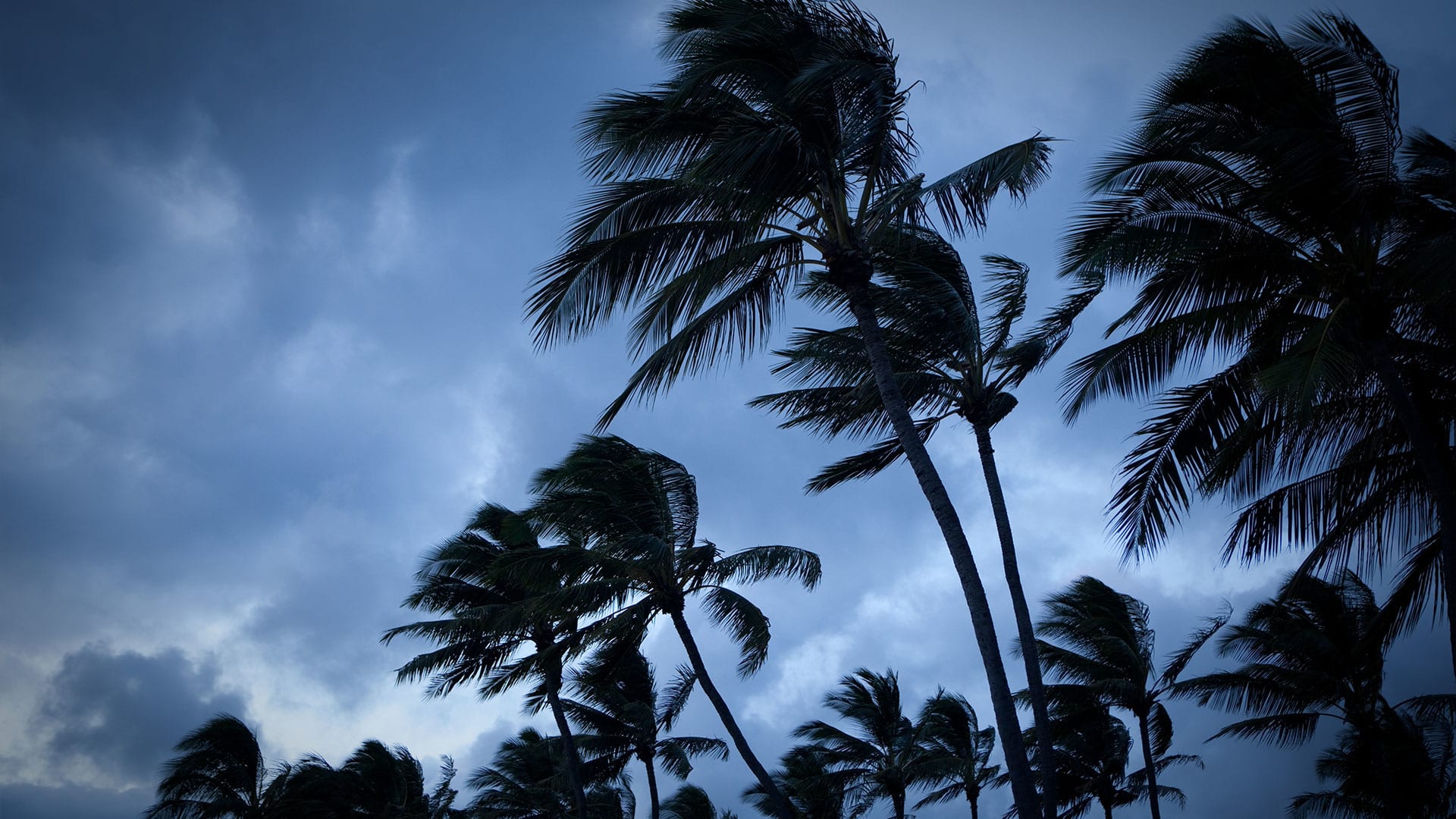 Is another hurricane coming to Florida? Tropical Storm Kirk path