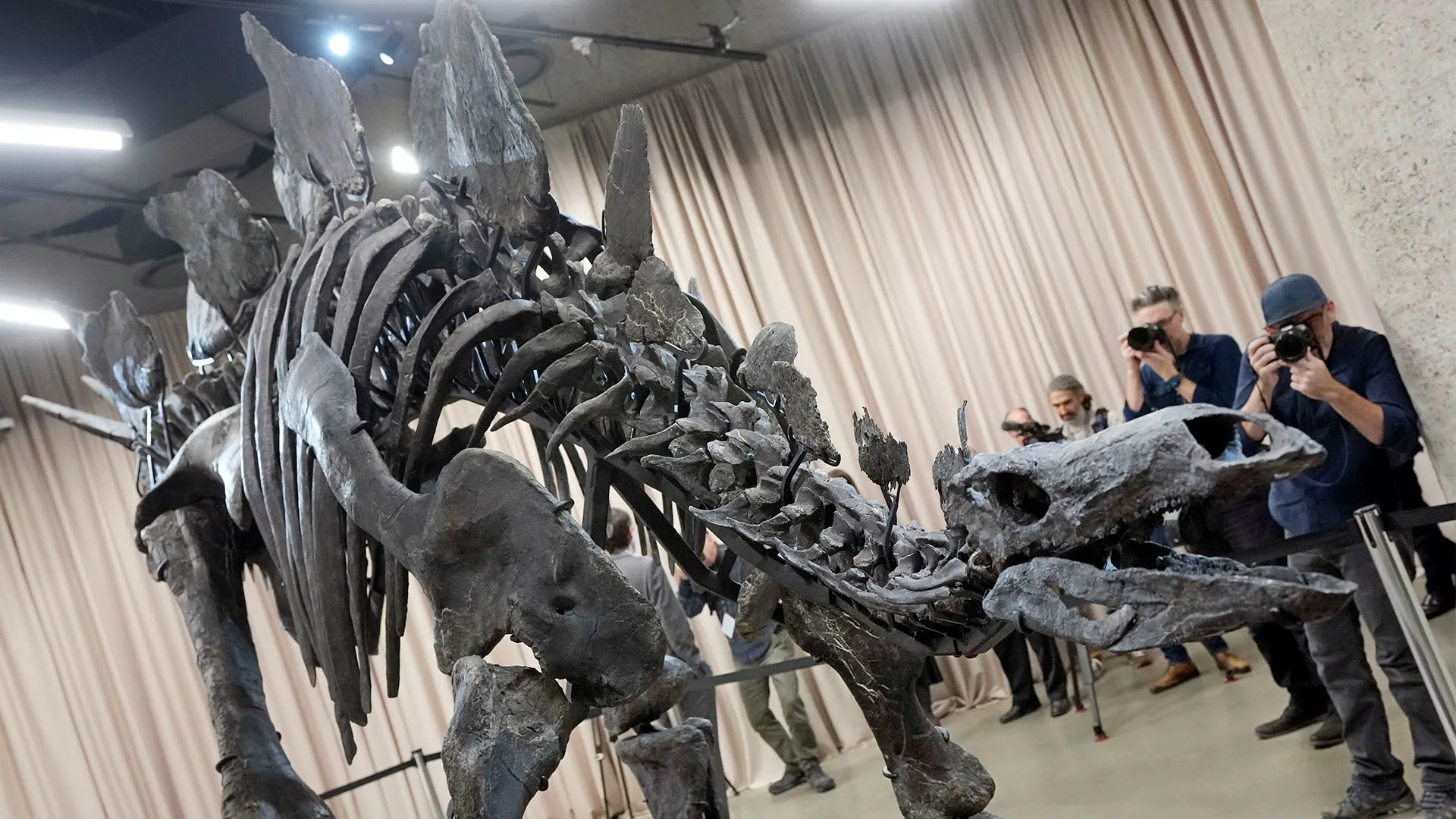 What to know about the $45 million dinosaur fossil now on display in New ...