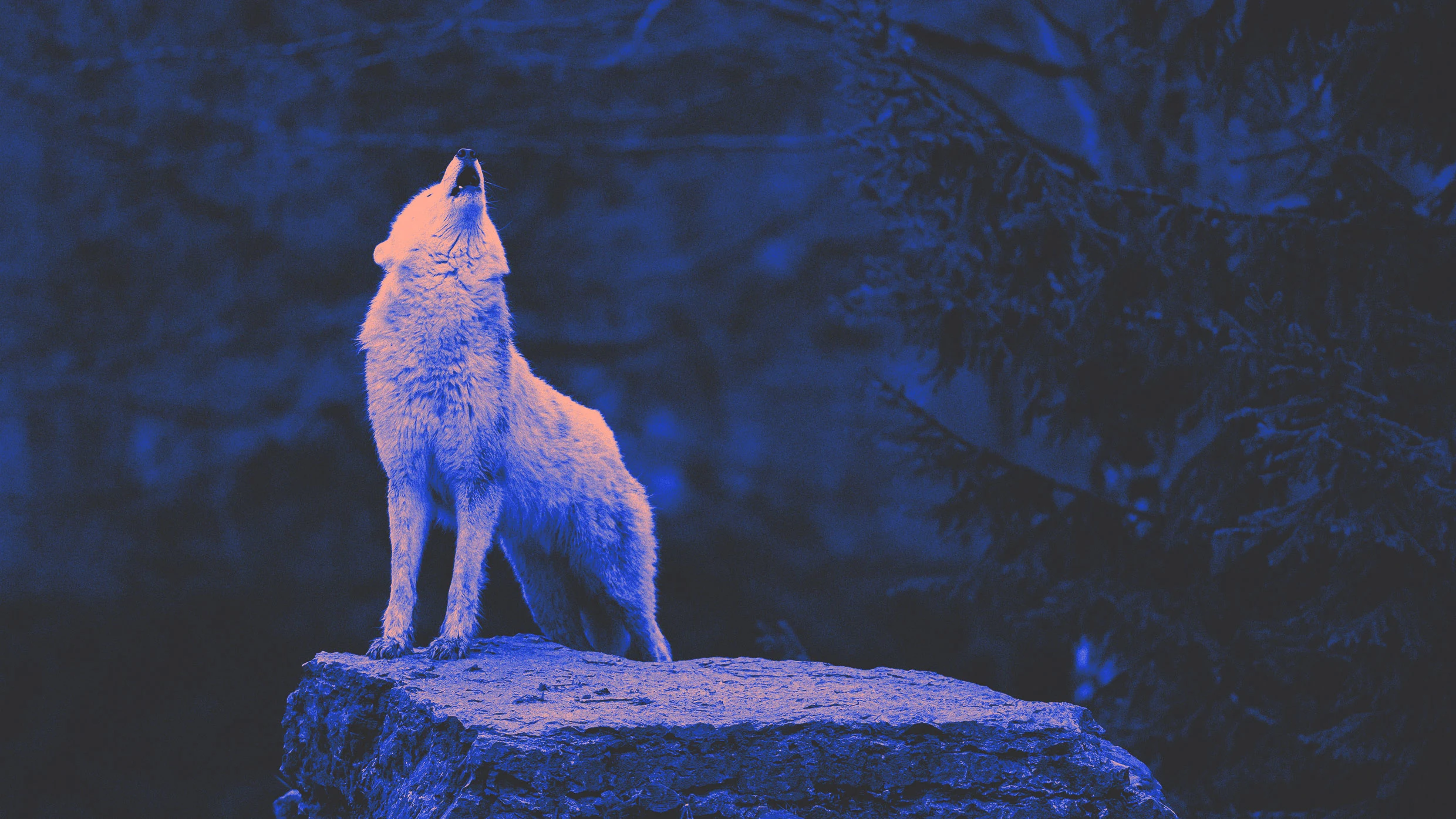 How to turn lone wolves into team players- Fast Company