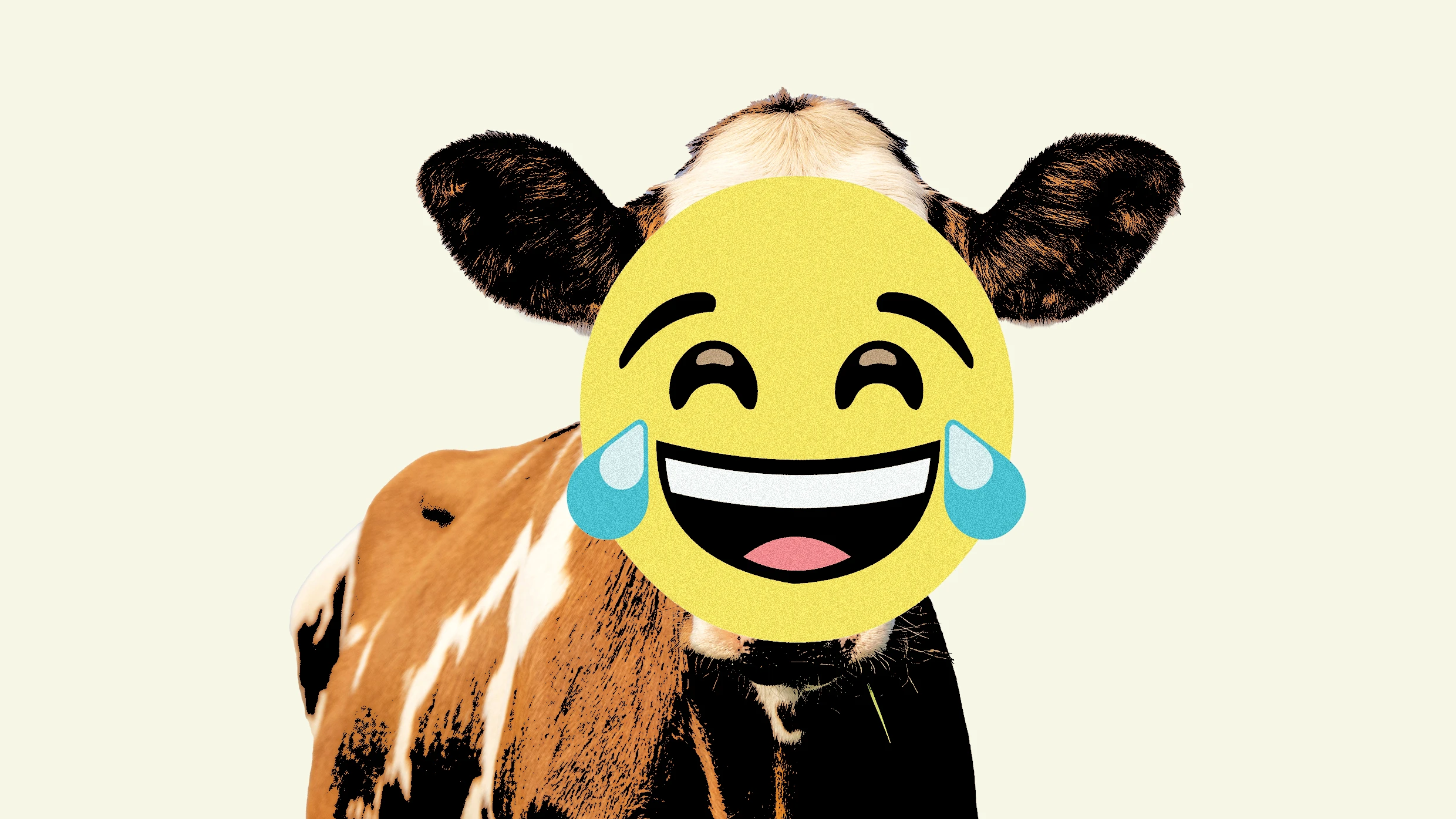 ‘The 21st century equivalent of court jesters’: TikTok’s dark obsession with ‘LOLCows’