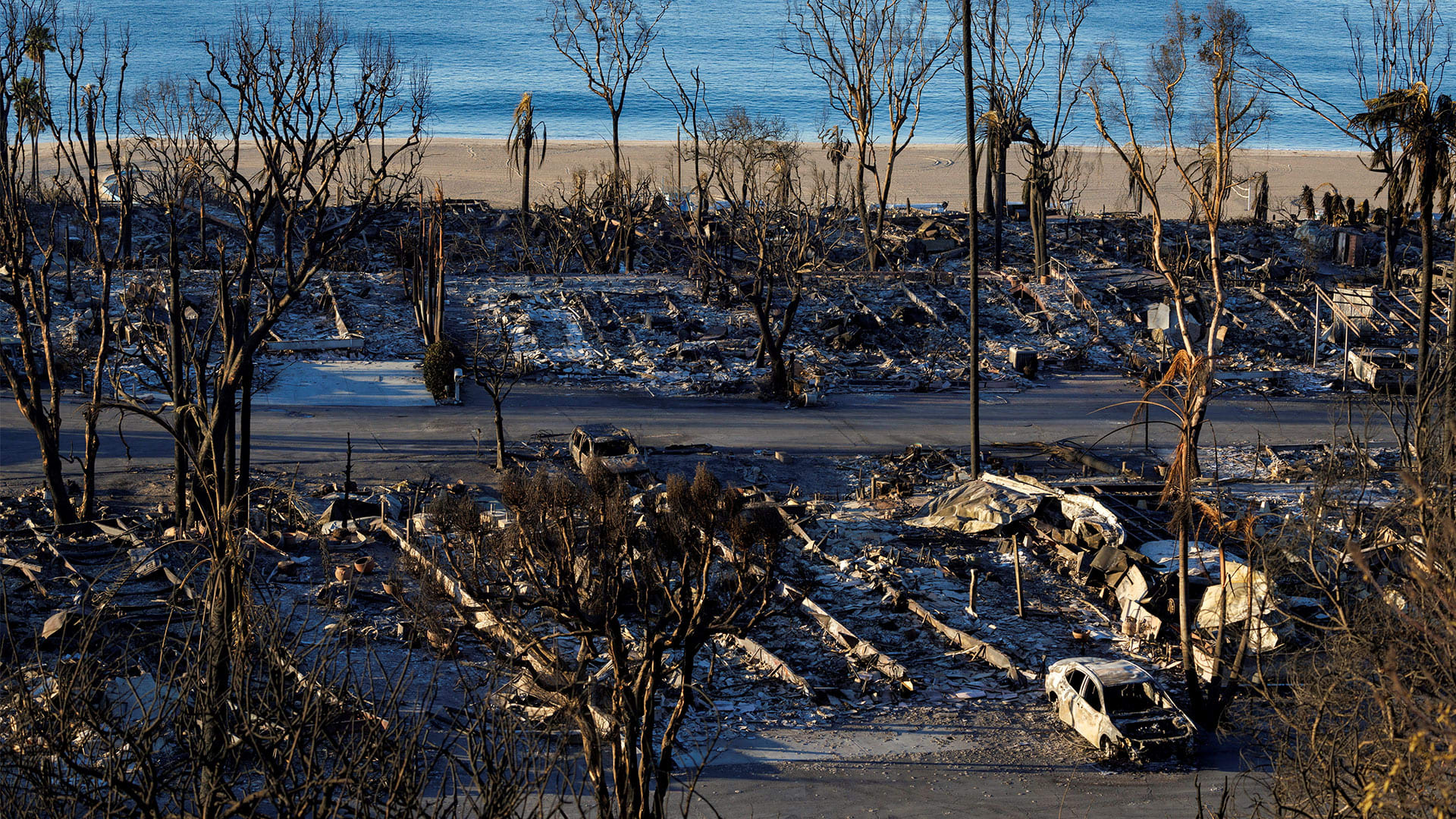 L.A. artists and collectors are reeling from massive losses in wildfires