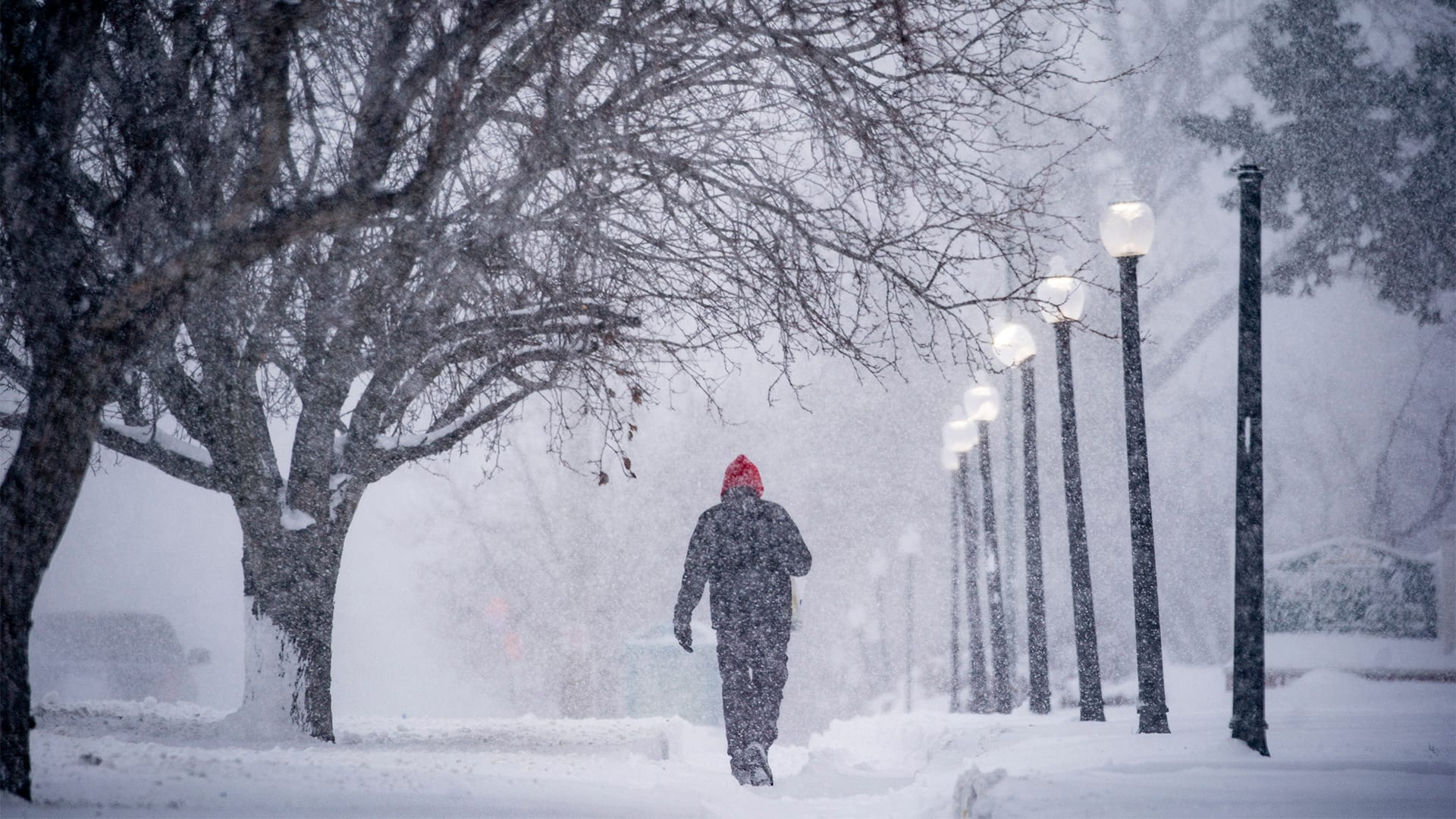 Polar vortex 2025 map, temperatures, brutal cold next week Fast Company