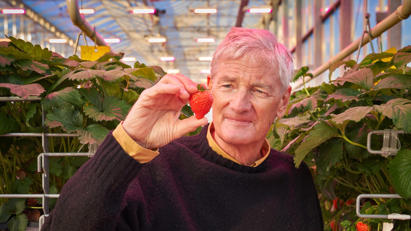 Why James Dyson got into vertical farming