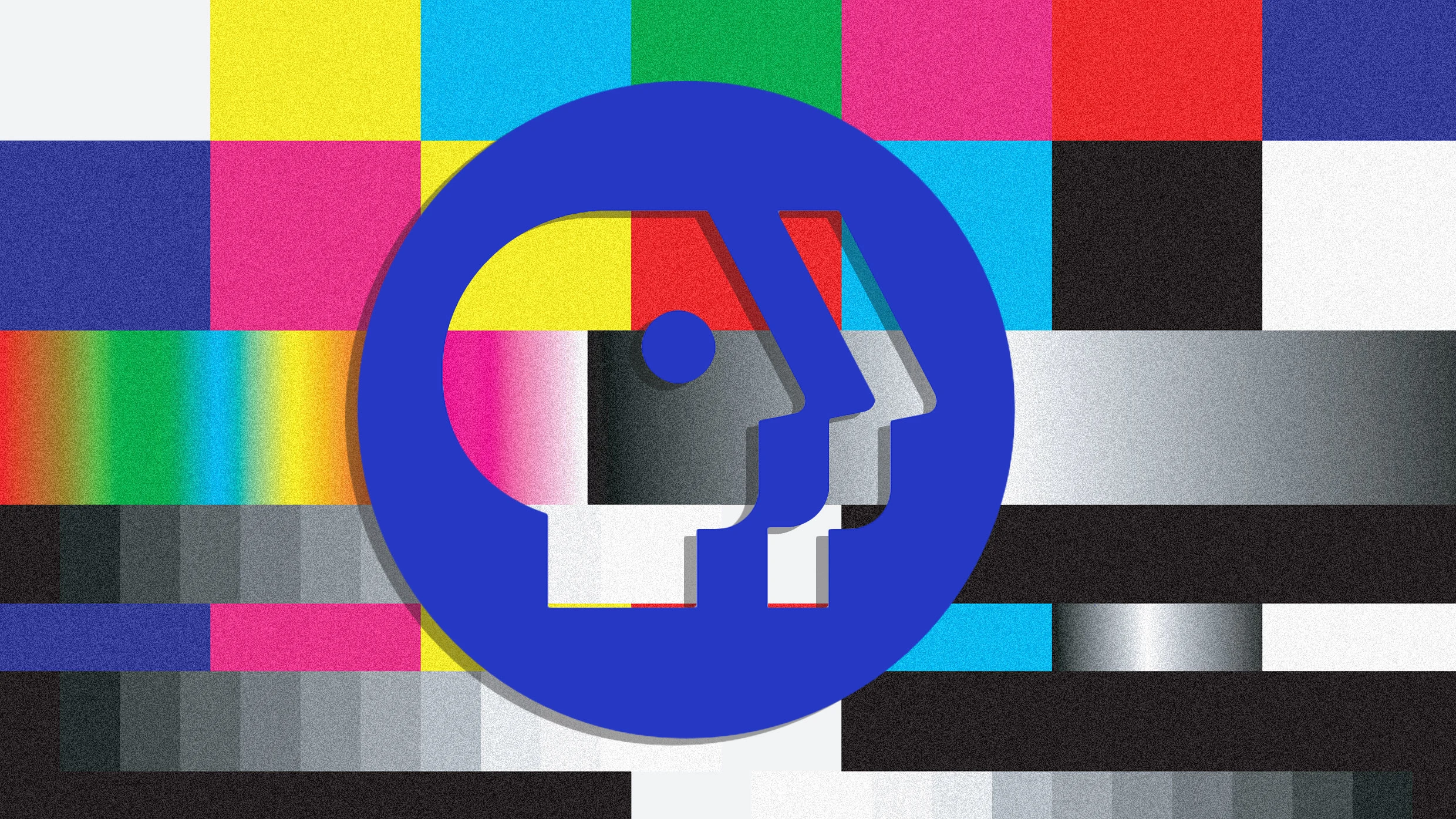 PBS chief Paula Kerger warns public broadcasting could collapse in small communities if Congress strips federal funding