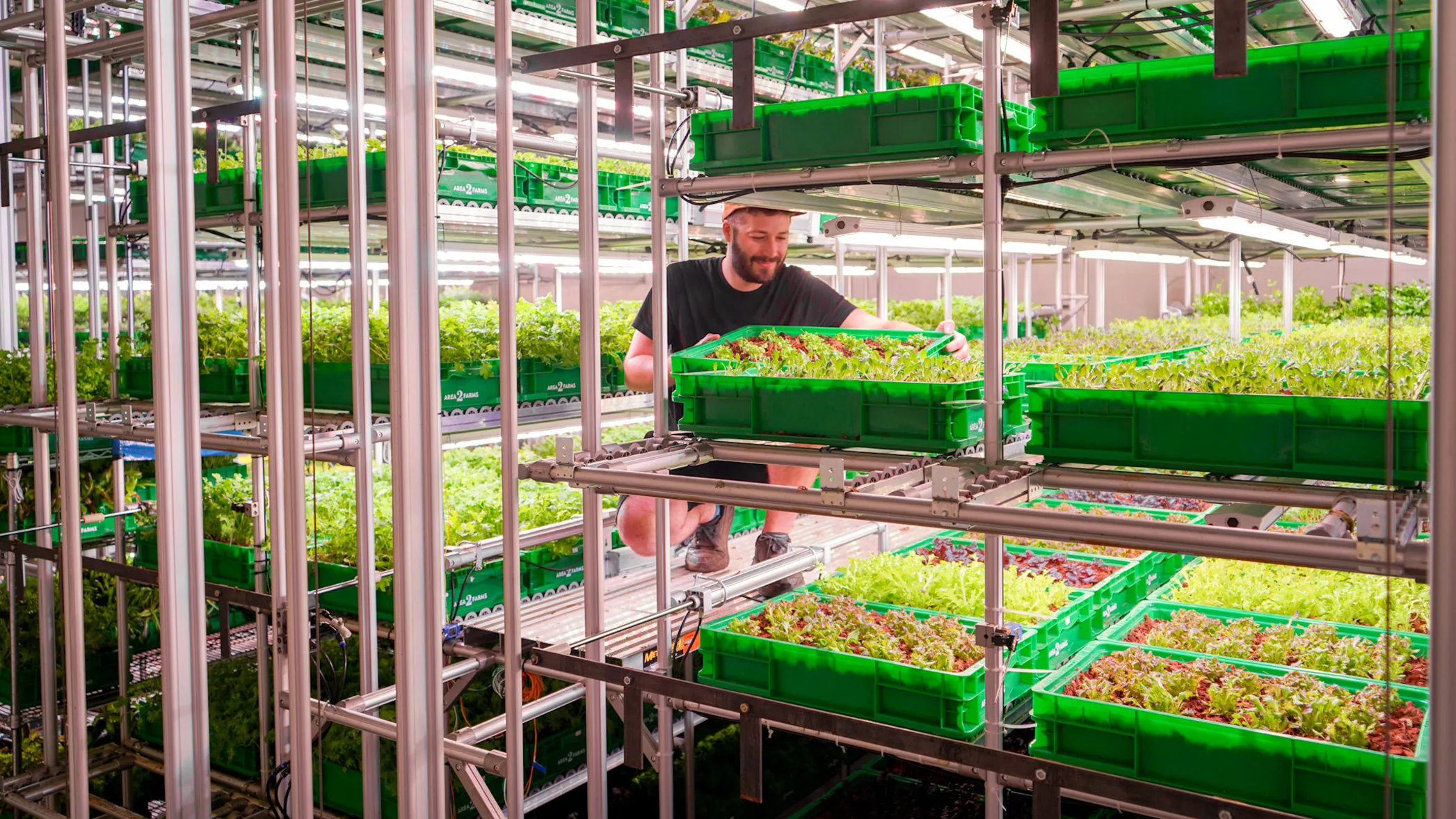 This company is turning empty offices across America into farms