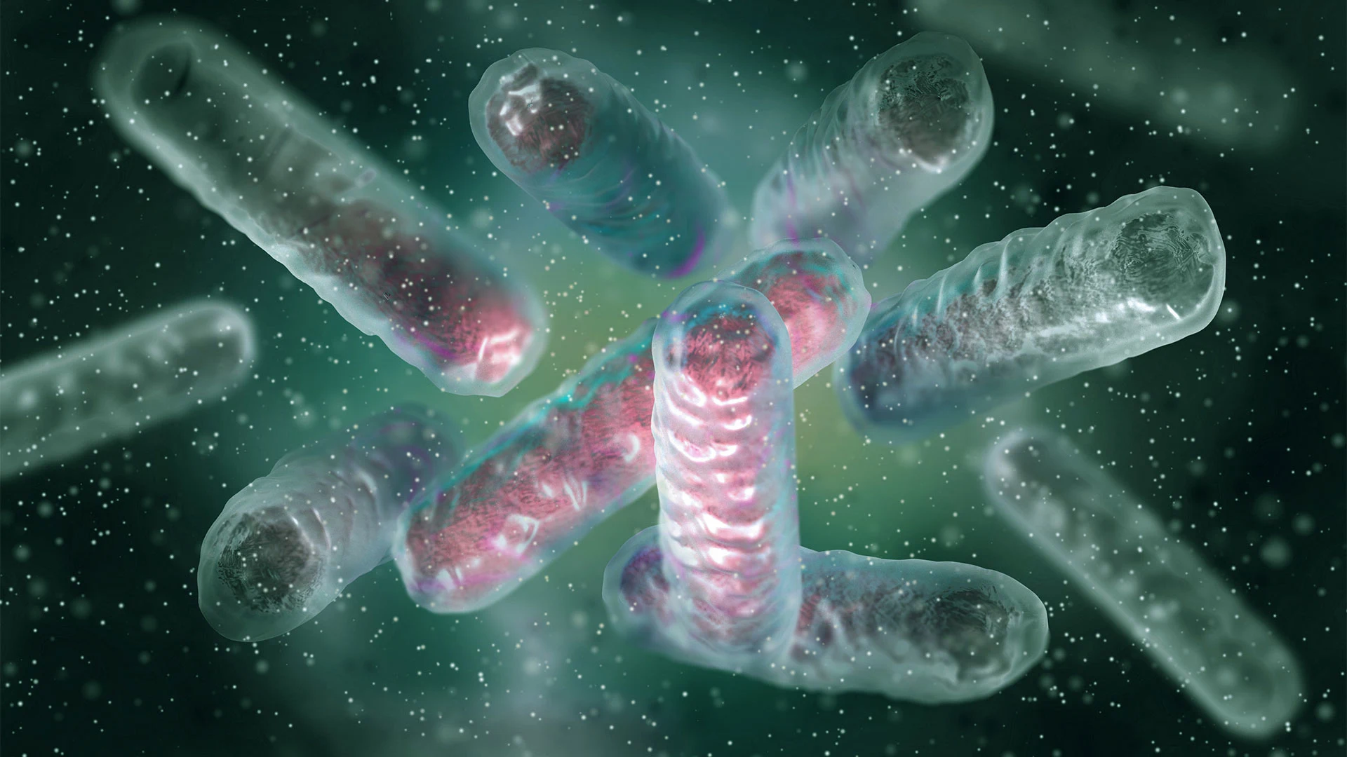 Drug-resistant "superbugs" see alarming rise in U.S.