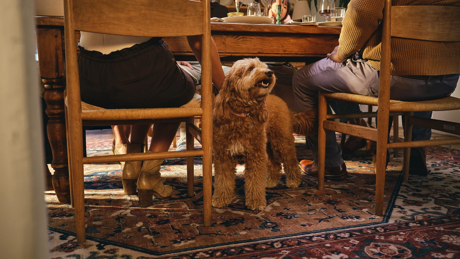 Ruggable just made washing your rugs even easier