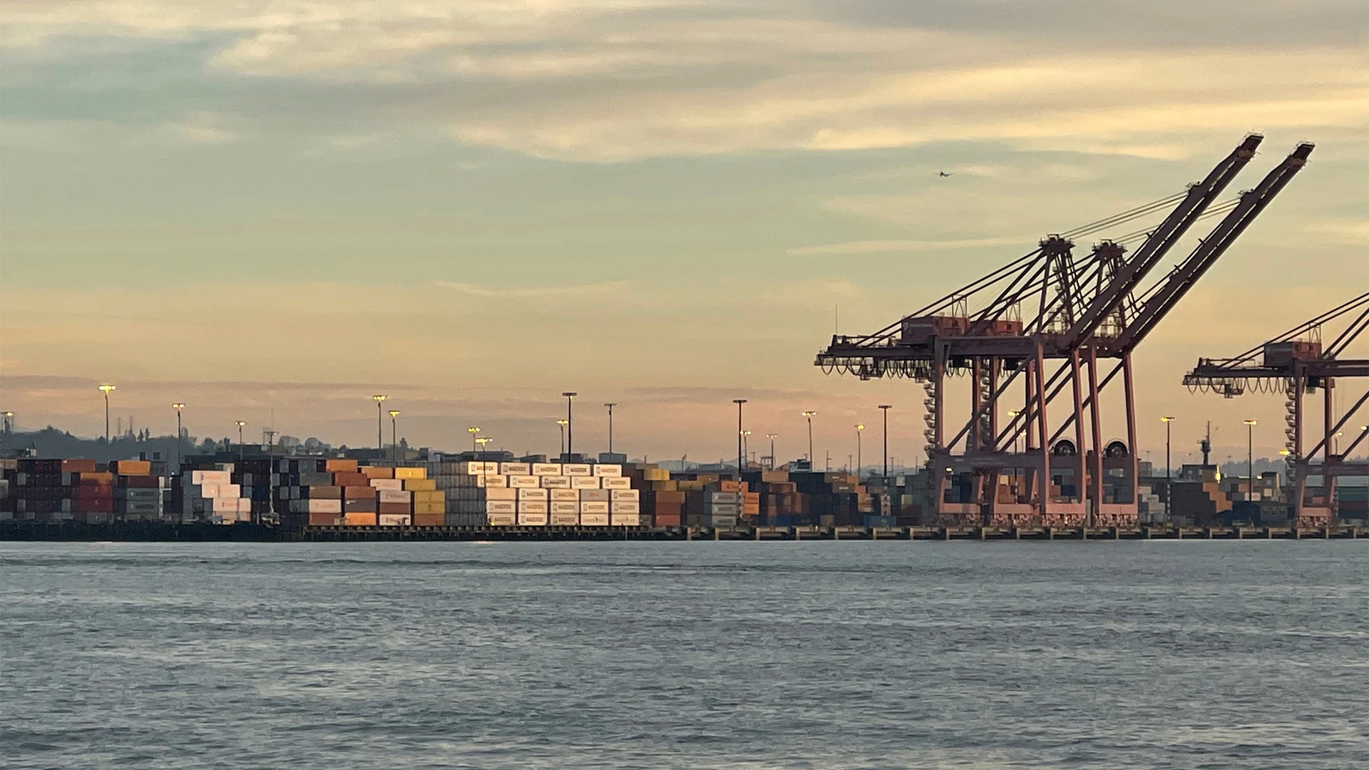 What Trump's tariffs are doing to West Coast ports-and the future of the dockworkers