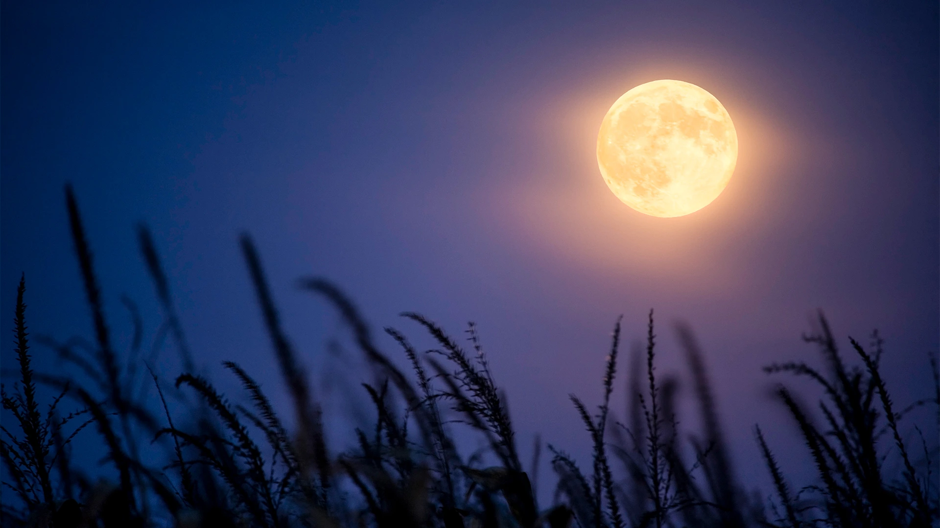 Tonight's October full moon will also be a harvest supermoon: Here's what it means and the best time to see it