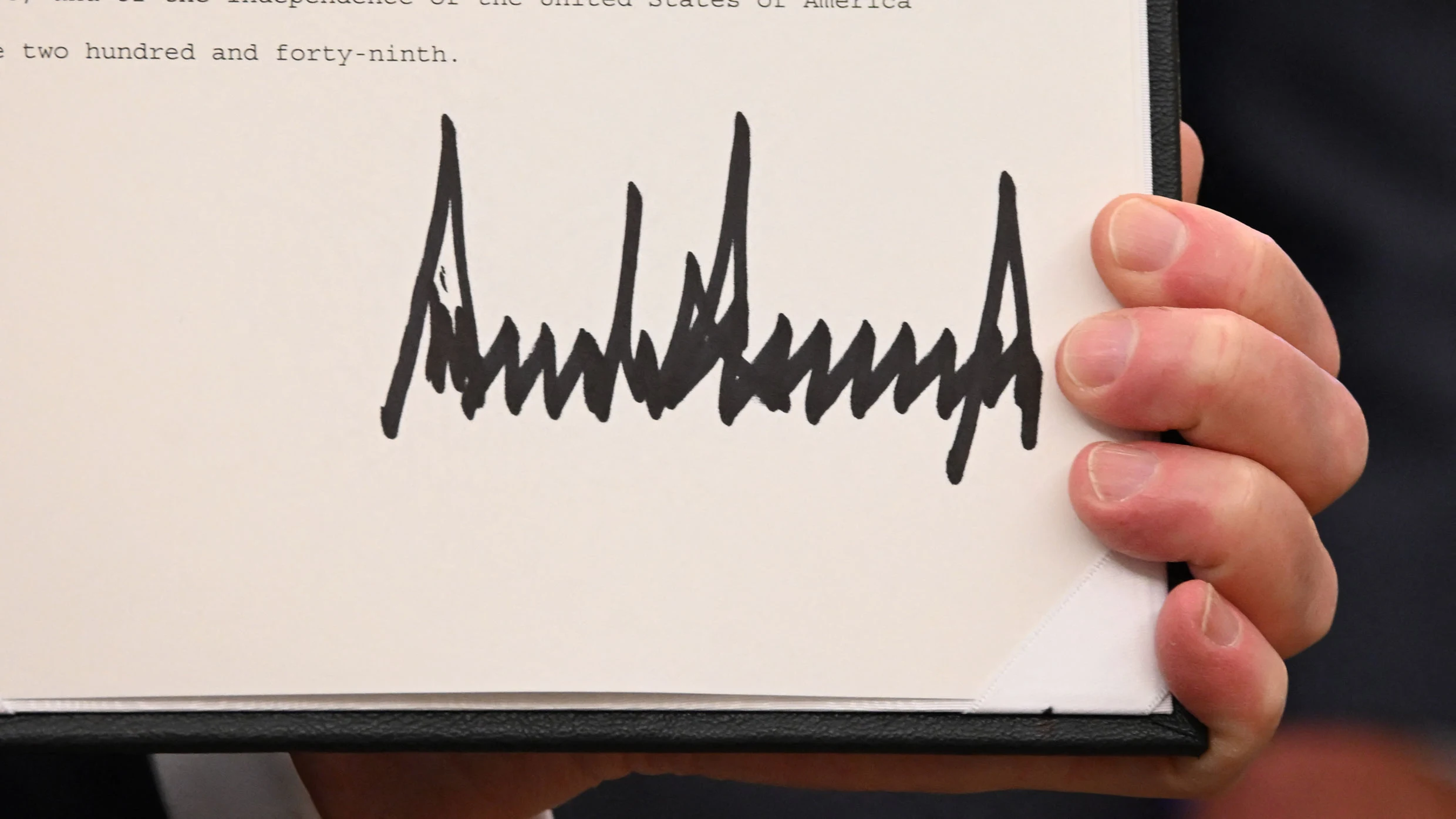 The discovery that linked signature size to narcissism