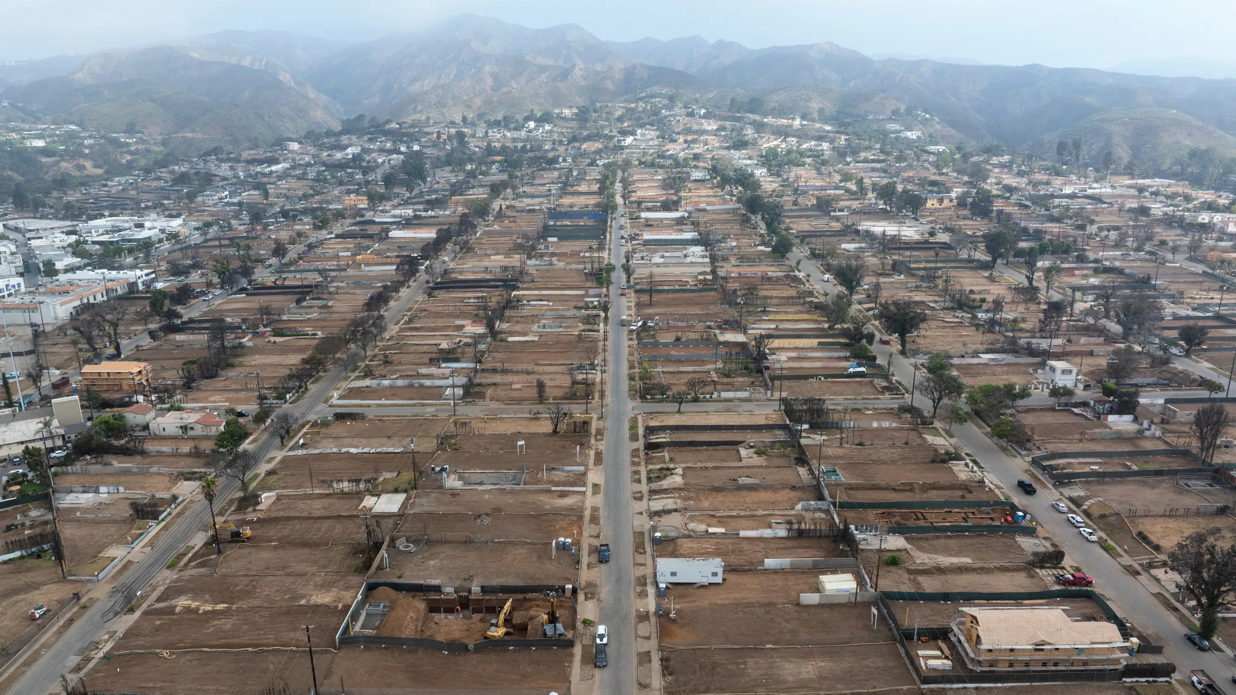As Los Angeles rebuilds, a fight is brewing over landscaping rules designed to prevent future fires