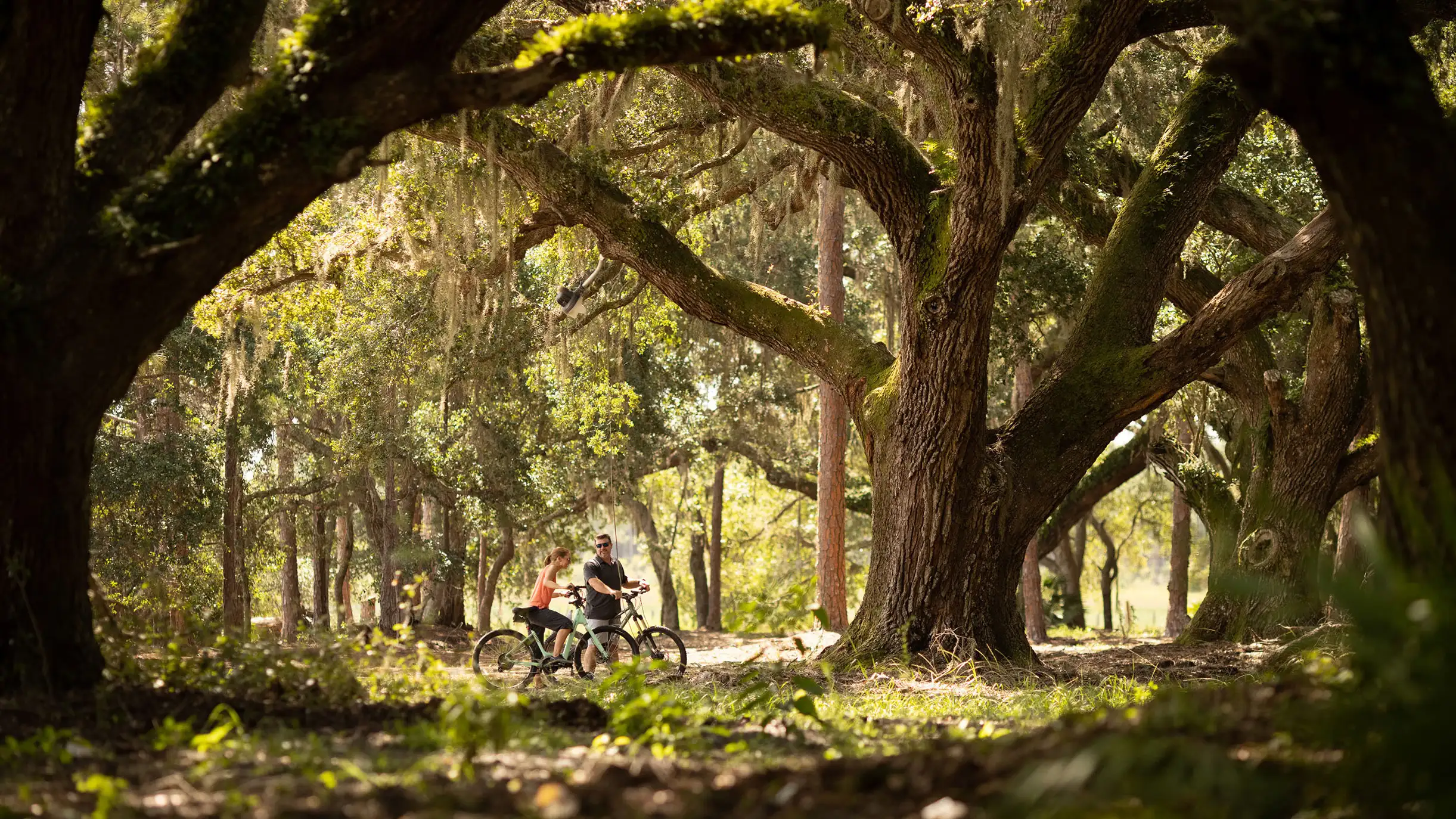 This Florida mega-development is turning suburban backyards into a nature paradise