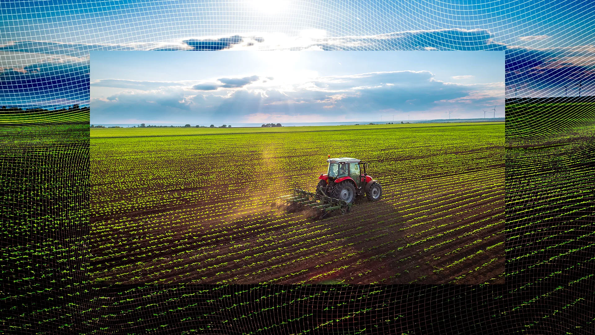 The wizard of crops: Microsoft's 'Oz' aims to transform farming