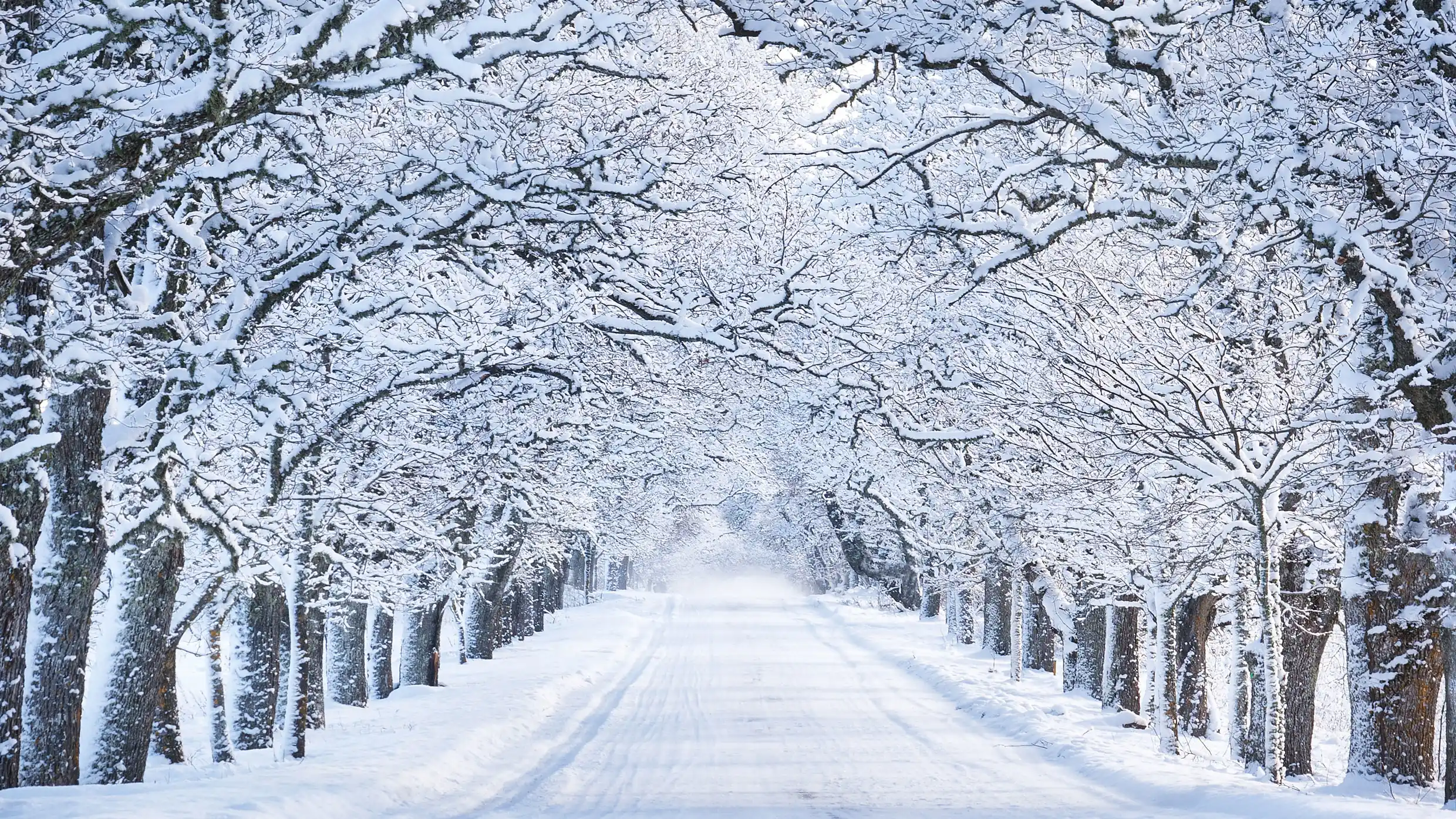 The danger of believing business myths