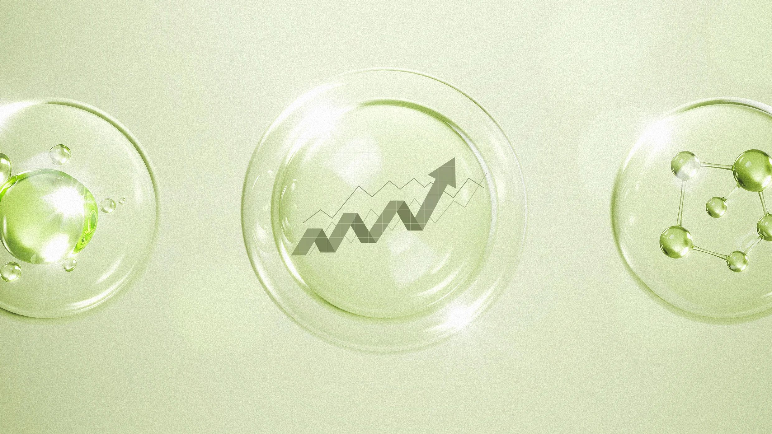 Beating the AI ​​bubble