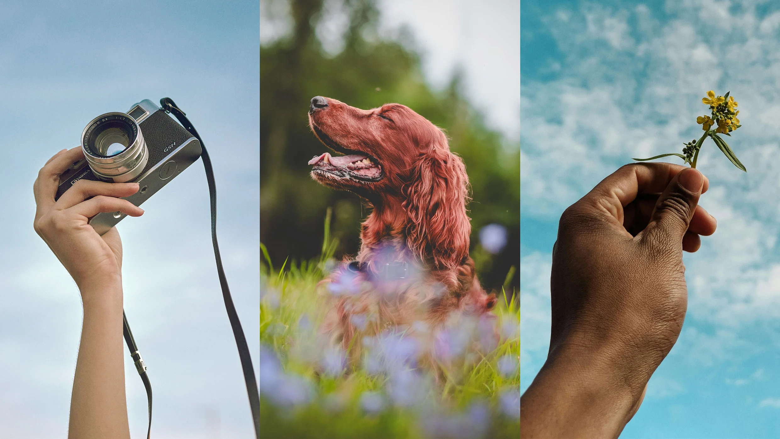 3 must-visit sites for finding free stock images