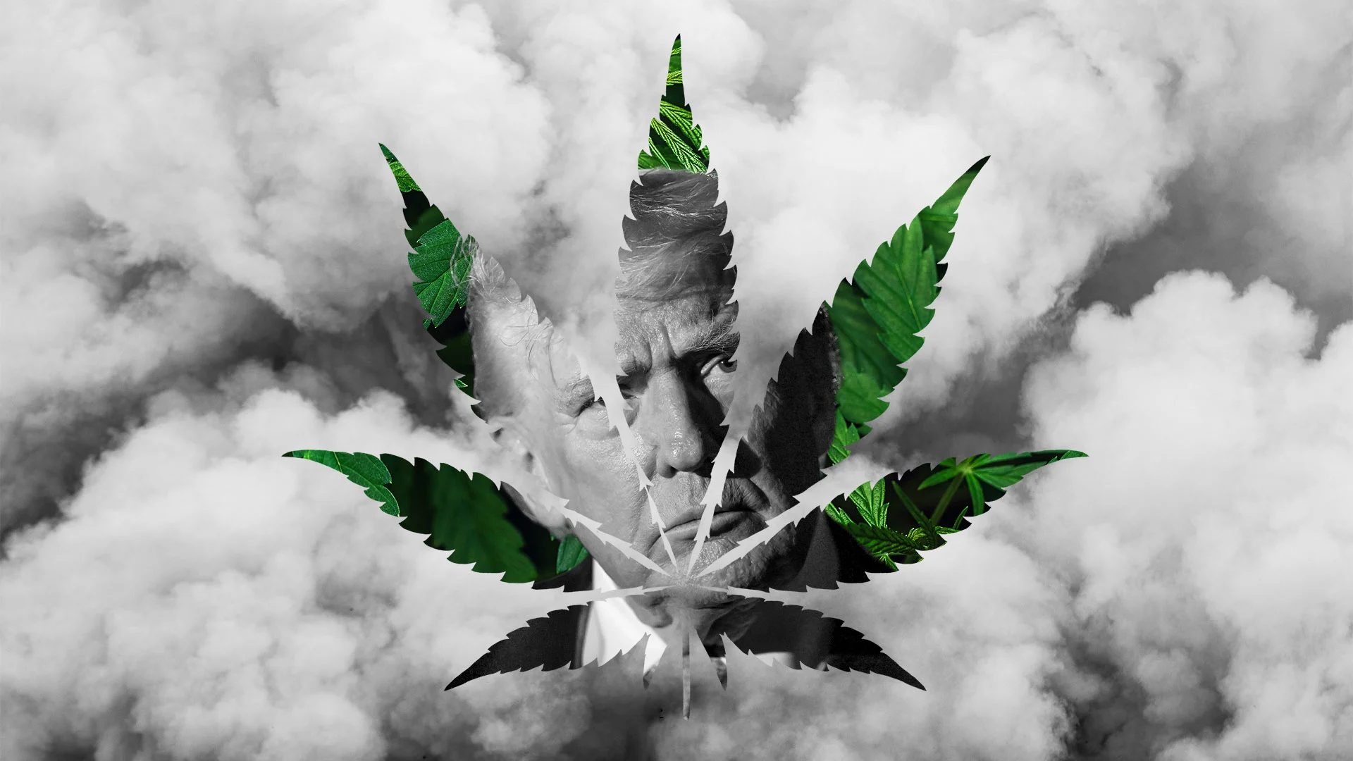 fastcompany.com - Michael Grothaus - Cannabis stocks surge on Trump's rumored Schedule 3 marijuana change. How high can pot shares get?