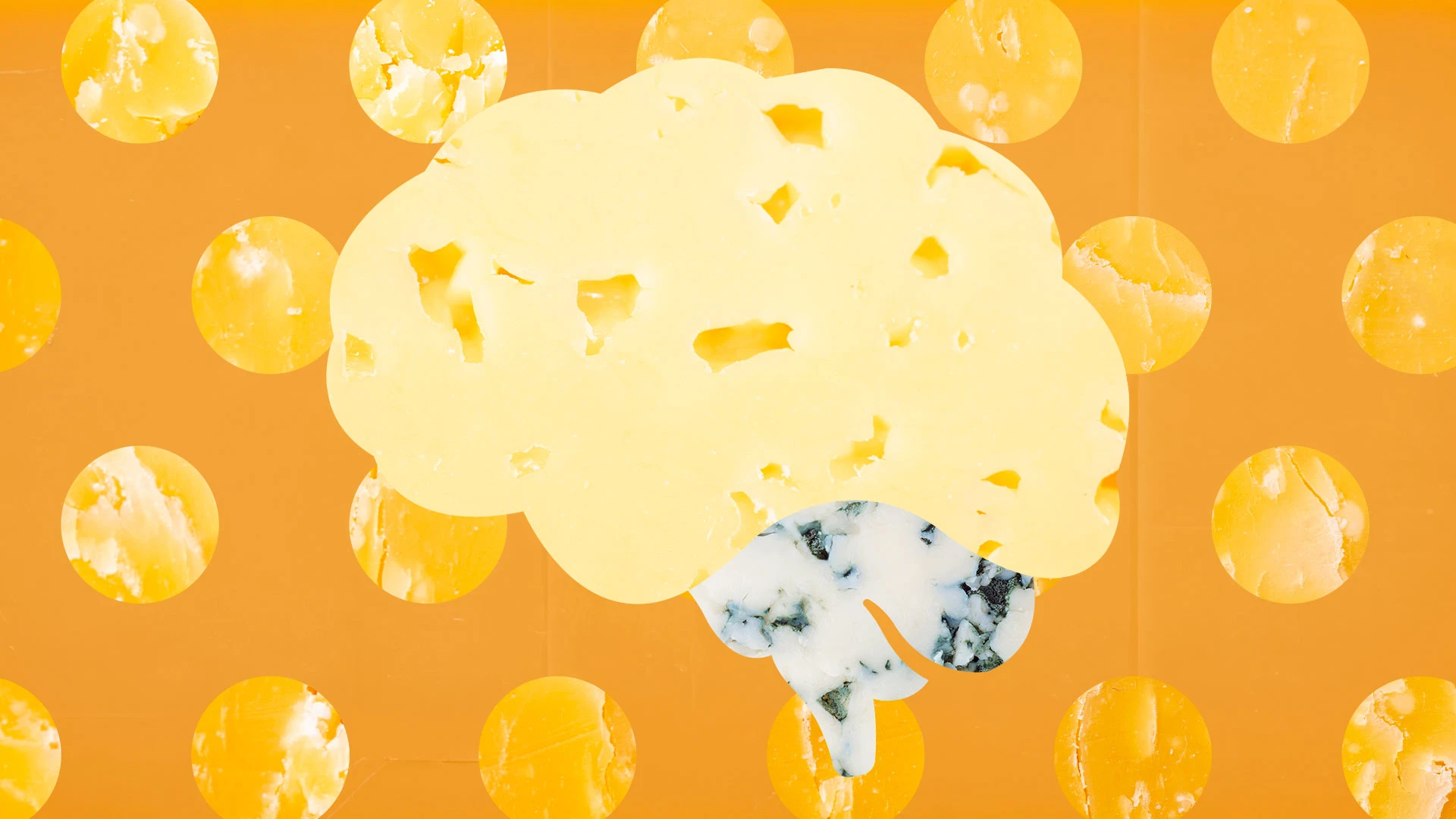 Can eating cheese lower your dementia risk? A new study says maybe