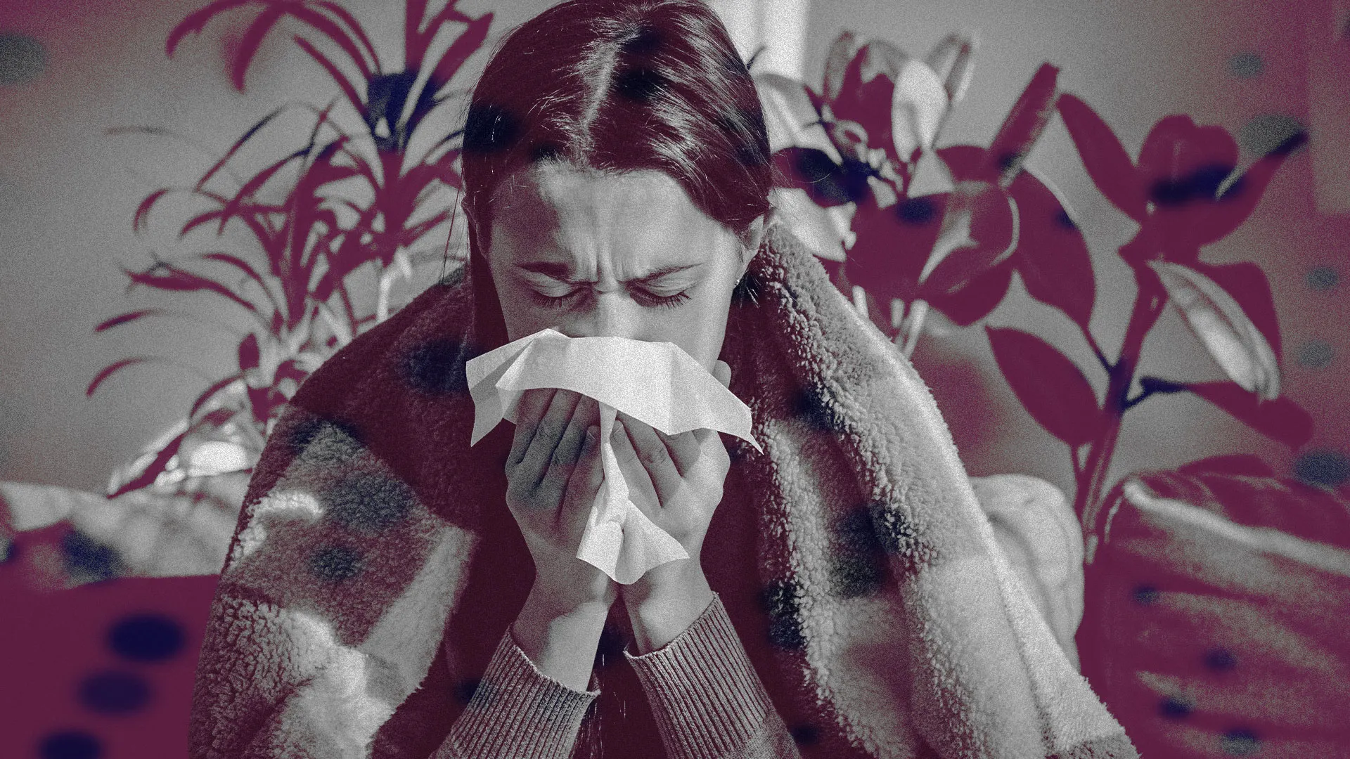 'Super flu' virus tracker: Symptoms and latest update as subclade K influenza variant spreads