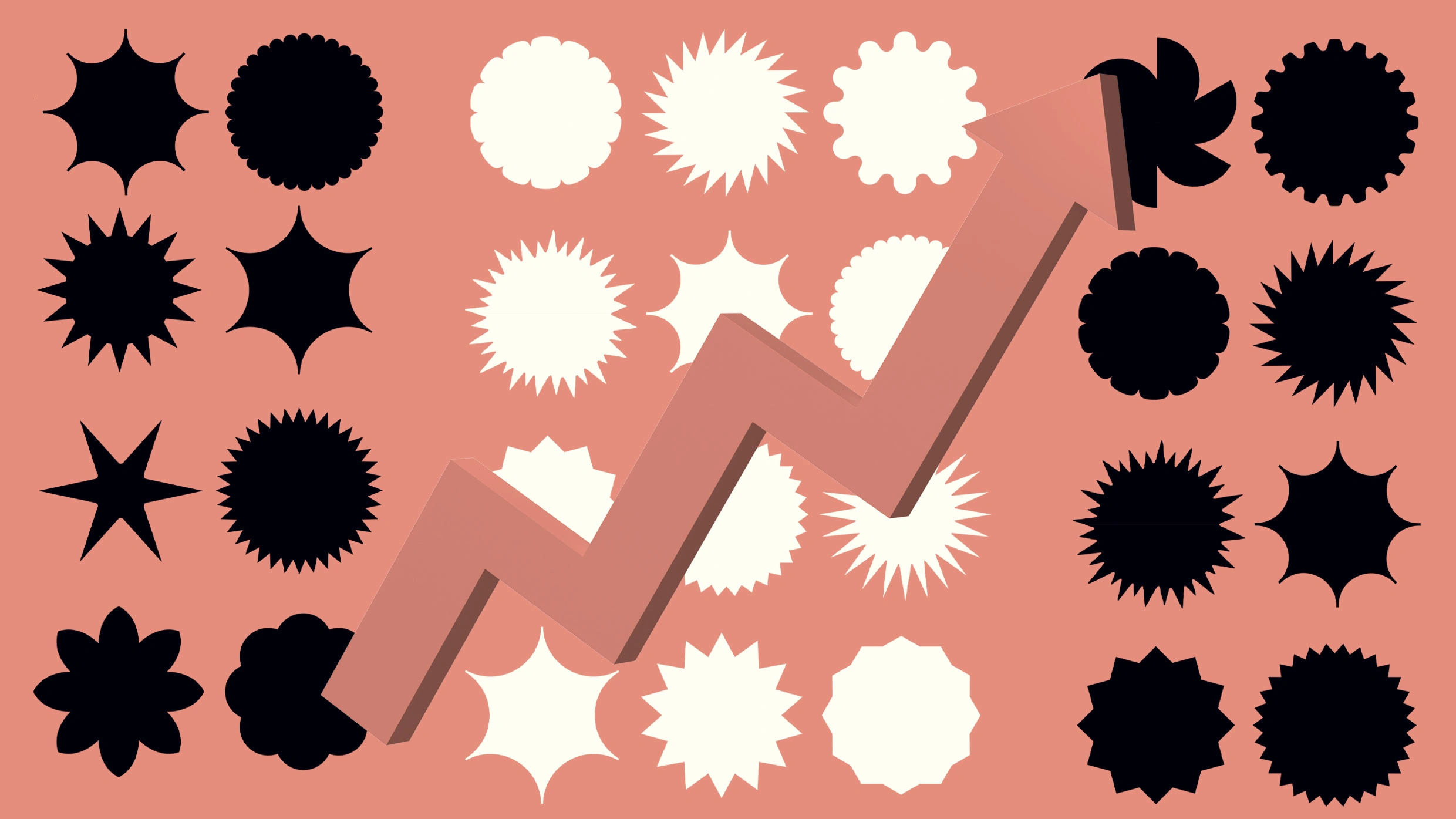 These young brands are already finding solid footing with their fans