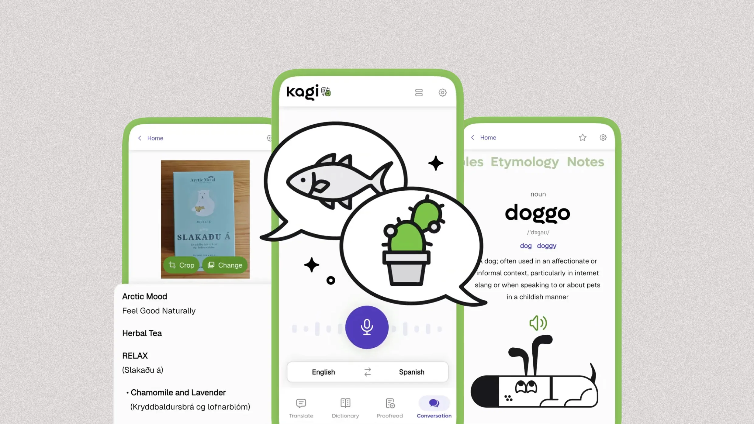 Kagi's new app is like Google Translate-plus privacy