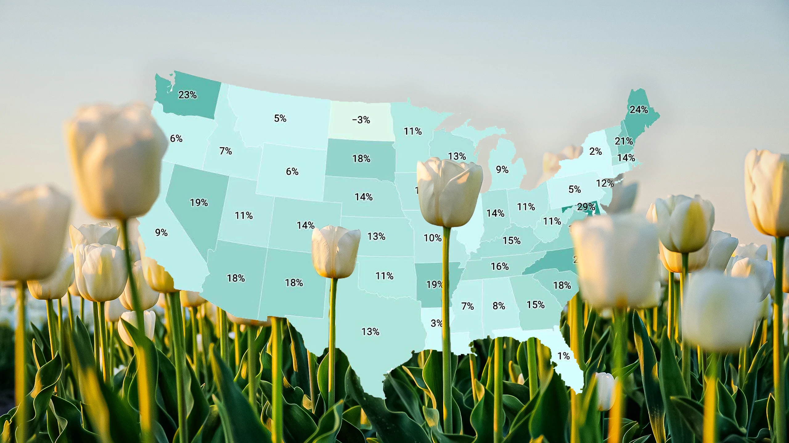 fastcompany.com - Lance Lambert - Housing market inventory power: Where states stand heading into spring