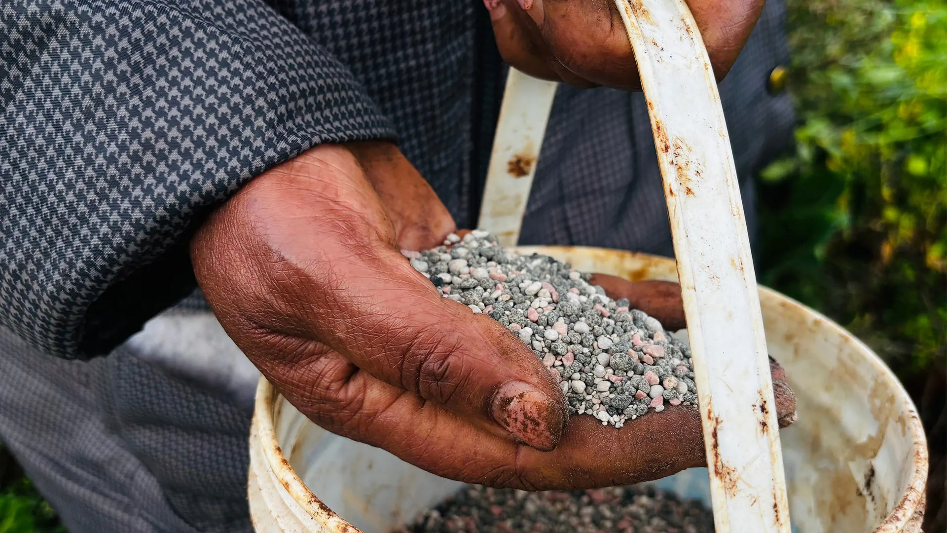 The Iran war is triggering a global fertilizer shortage that could impact food prices everywhere