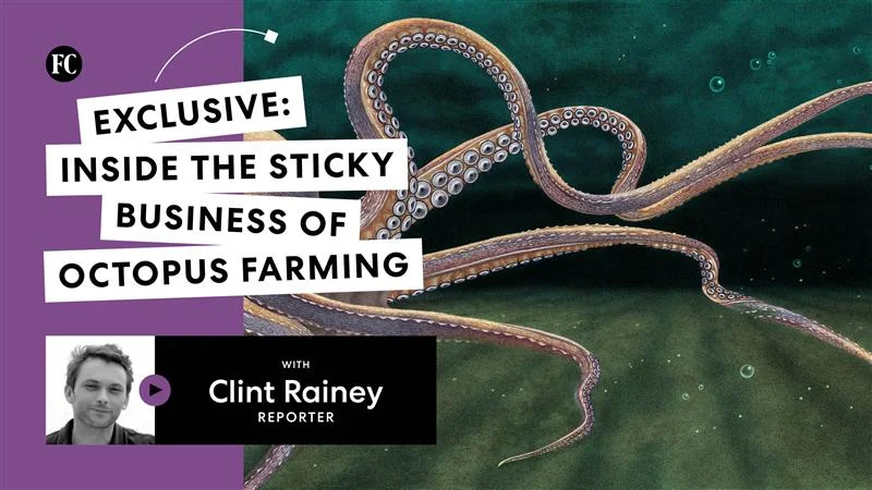 Octopus Prime: Inside a Growing and Controversial Farming Effort - Fast ...