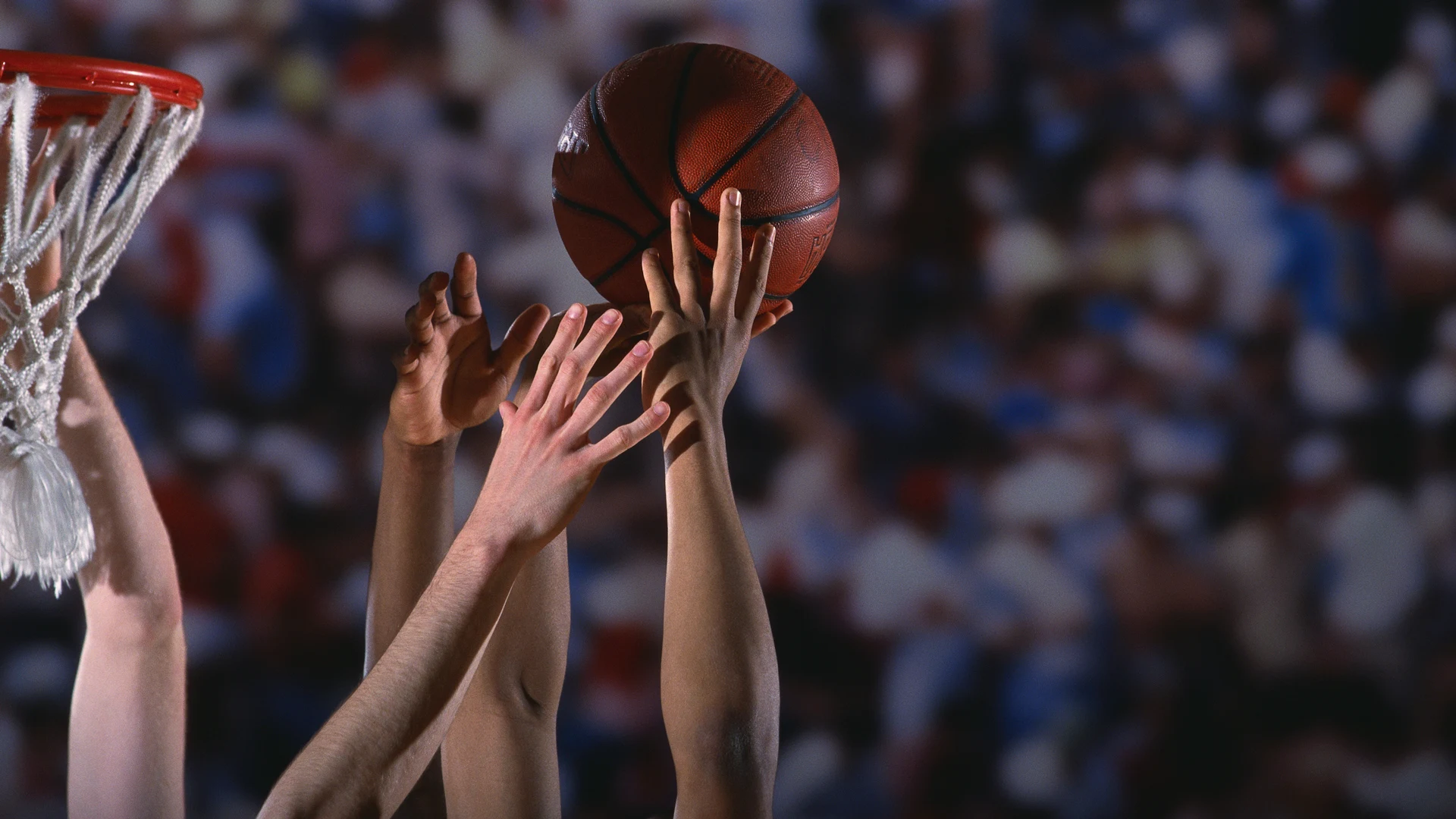 These data-filled websites will help you dominate your March Madness pool