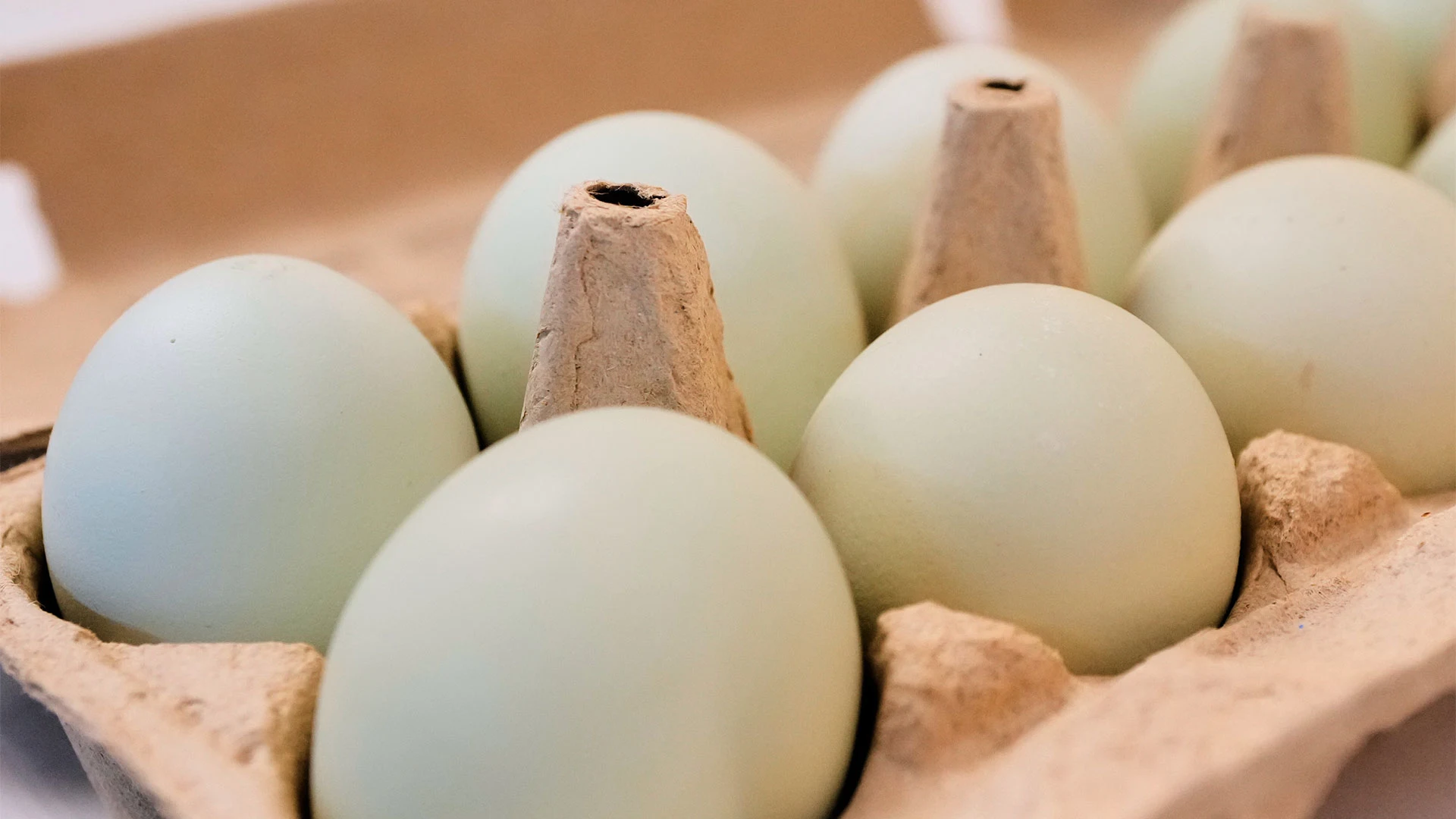 Egg prices this Easter are way below the record highs in 2025. Here's a look at the numbers