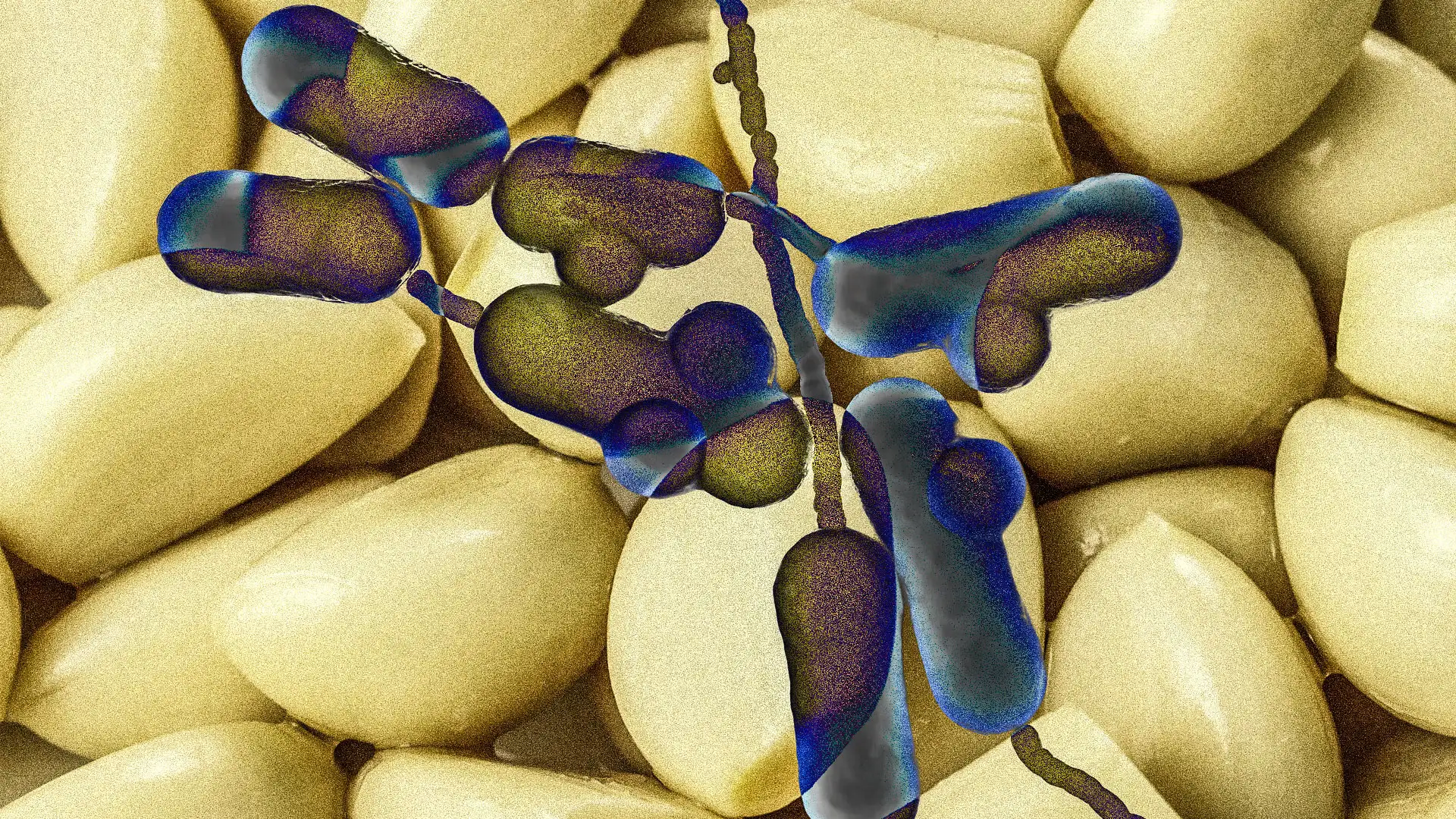 Recalled garlic sold in 3 states could cause fatal food poisoning. Check your fridge and avoid these products