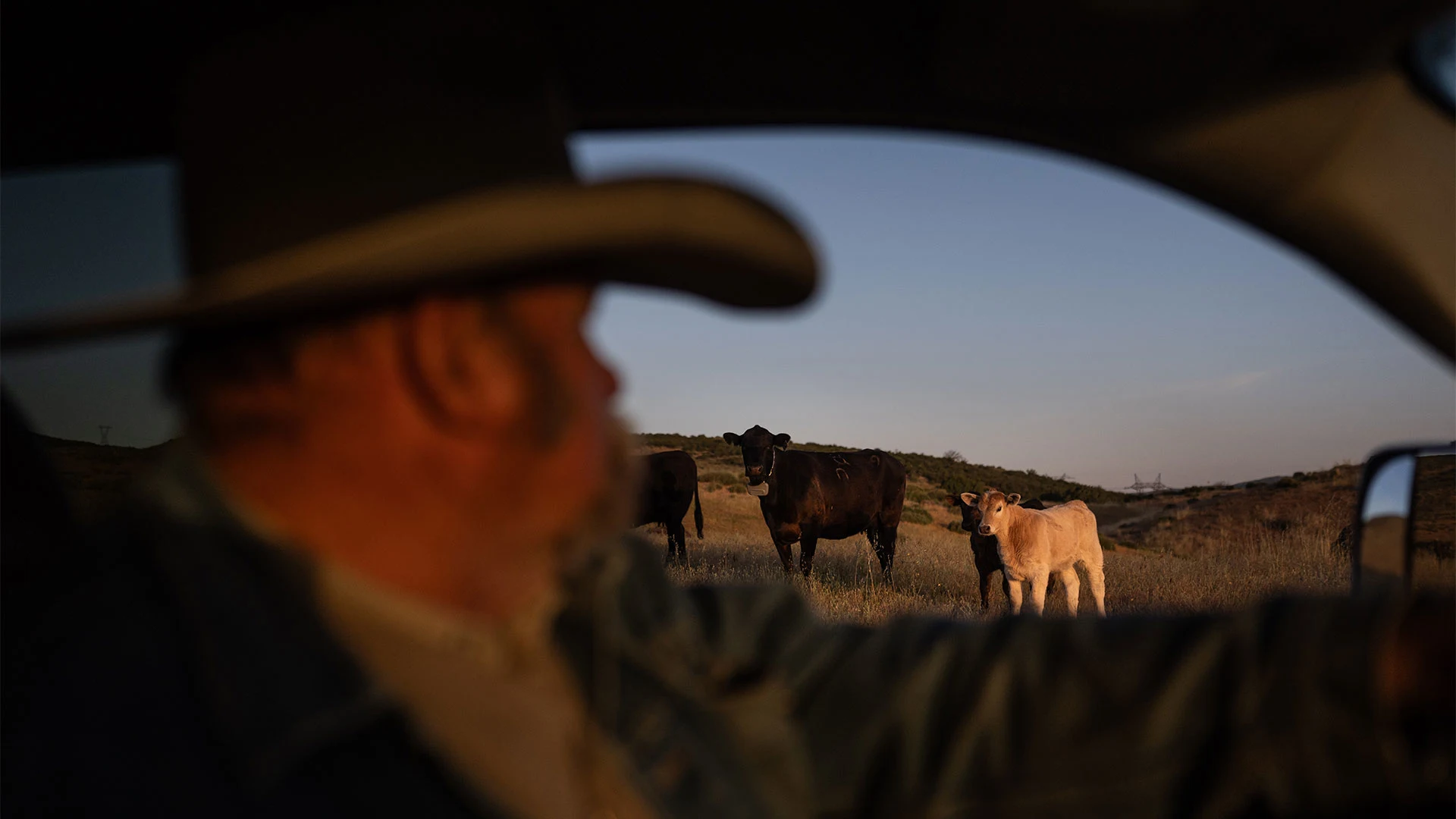 Record high beef prices won't be fixed with more cattle, ranchers say. Here's why