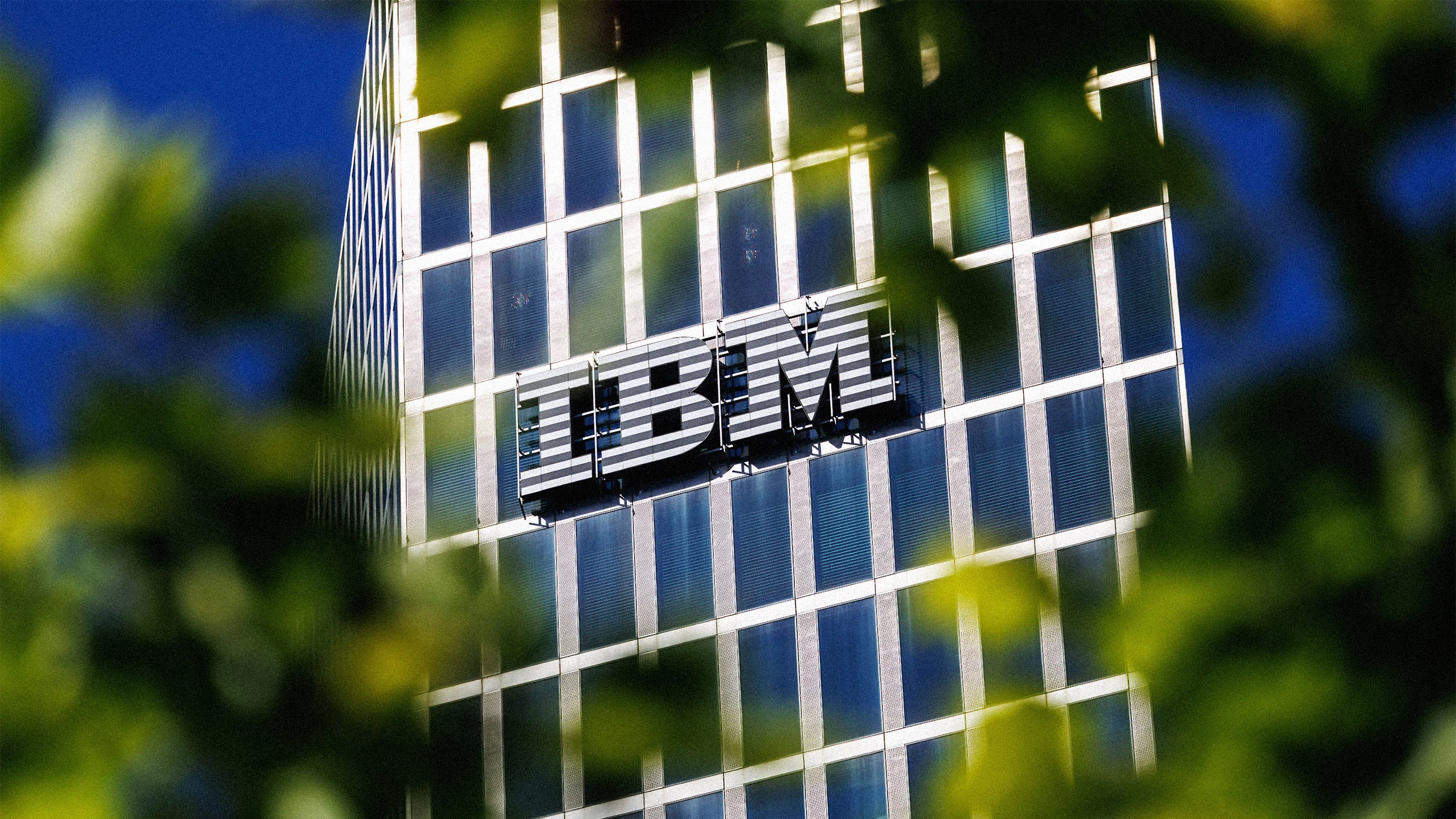 IBM just settled a major anti-DEI case for $17 million