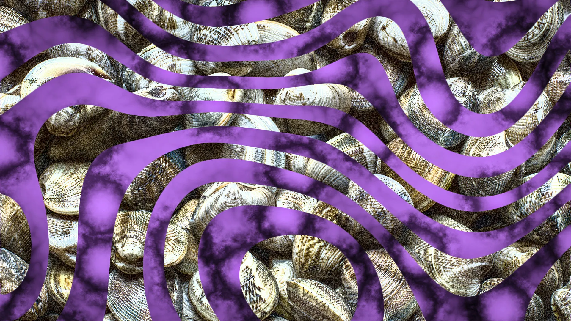 fastcompany.com - Sage Swaby - Norovirus fears prompt FDA warning to restaurants and retailers: Stop selling this recalled shellfish