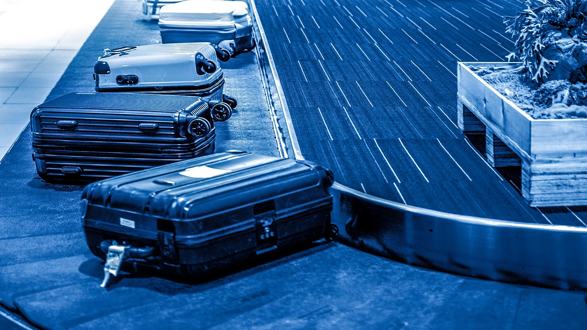 fastcompany.com - Natasha Etzel - JetBlue baggage fees are going up. Will other airlines follow as fuel costs rise in 2026?