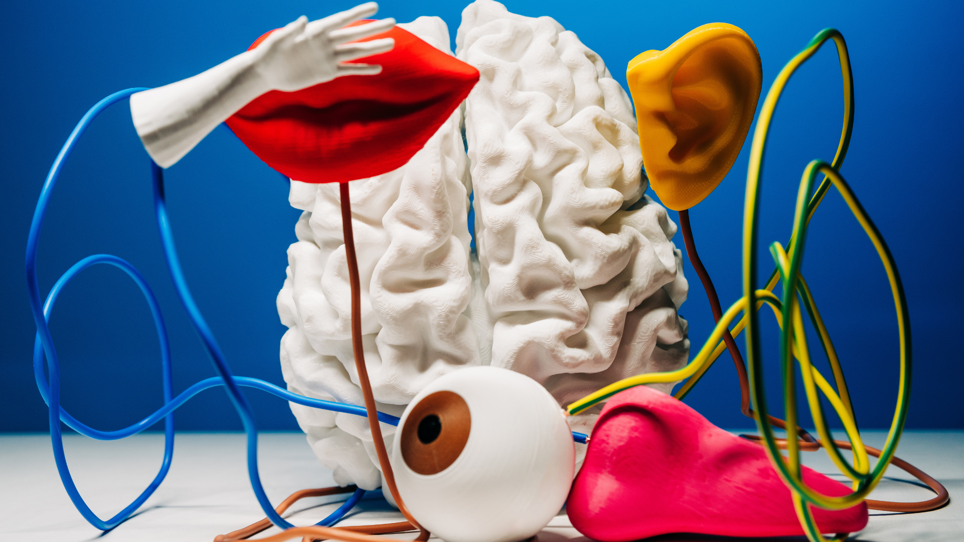 fastcompany.com - Nathan Friedman - Design for the ADHD brain