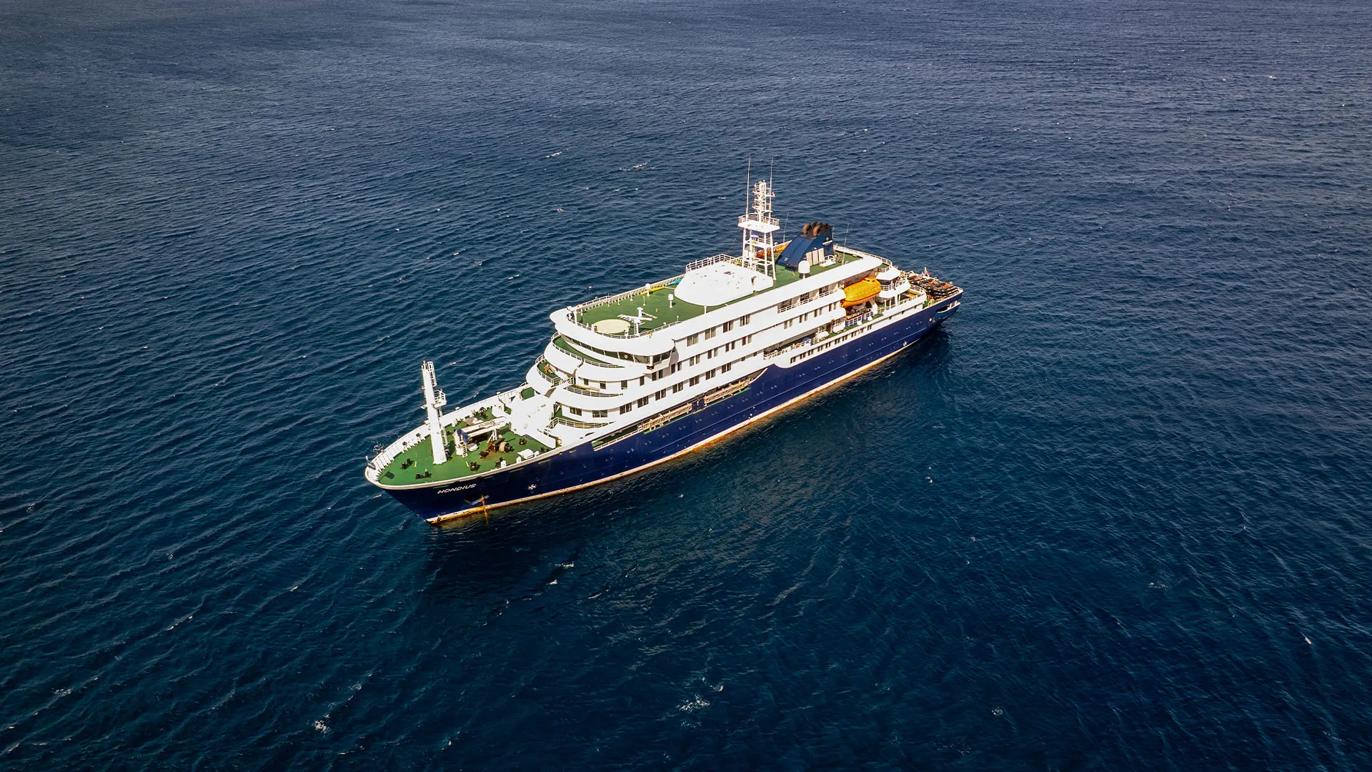 Cruise ship deaths spark hantavirus outbreak fears: What to know about the rodent-borne virus