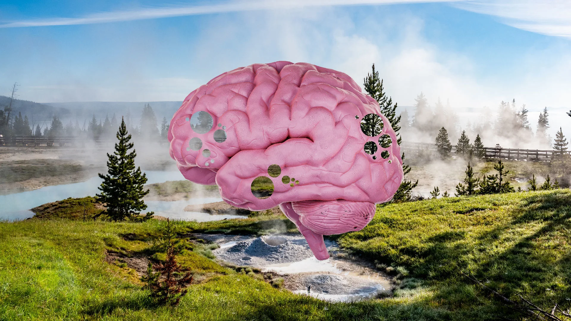 A study just found brain-eating amoeba in 2 popular U.S. national parks. Here's what you need to know