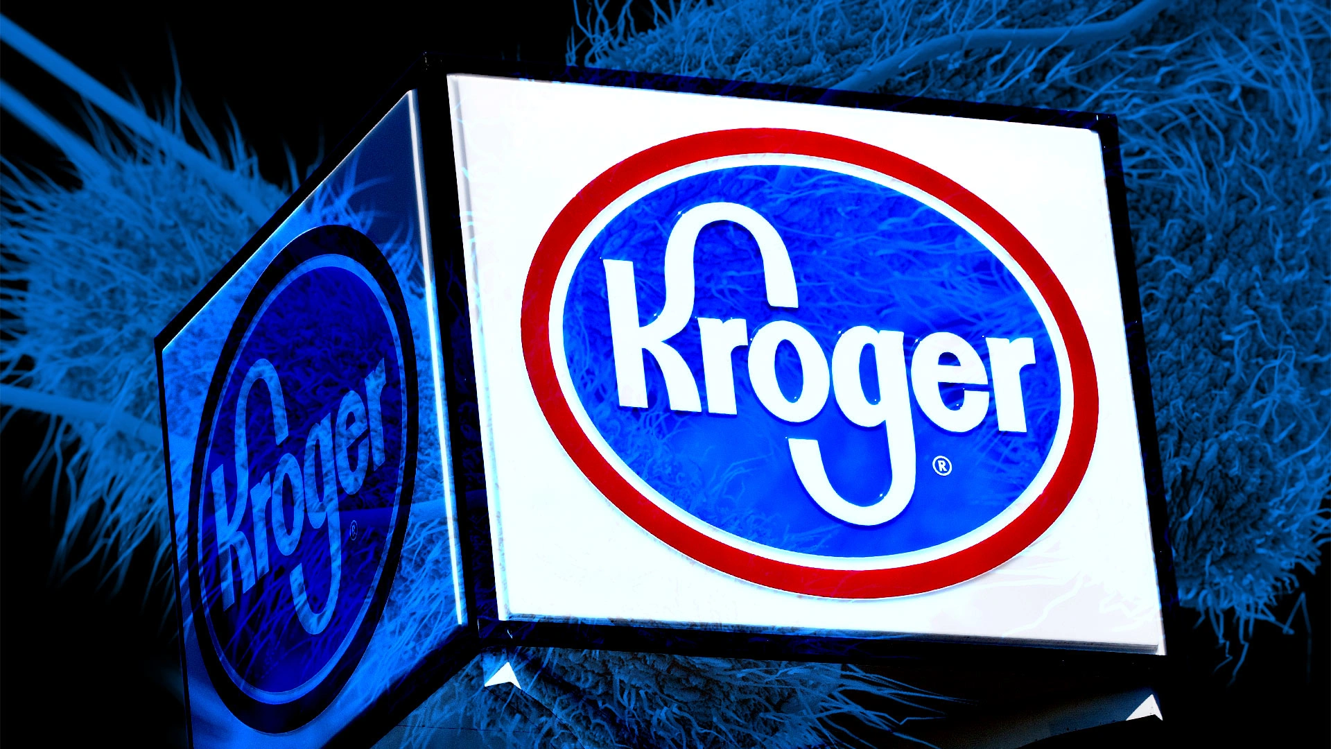 fastcompany.com - Sarah Fielding - Kroger gets swept up in the growing wave of Salmonella snack food recalls: Avoid this product sold in 17 states