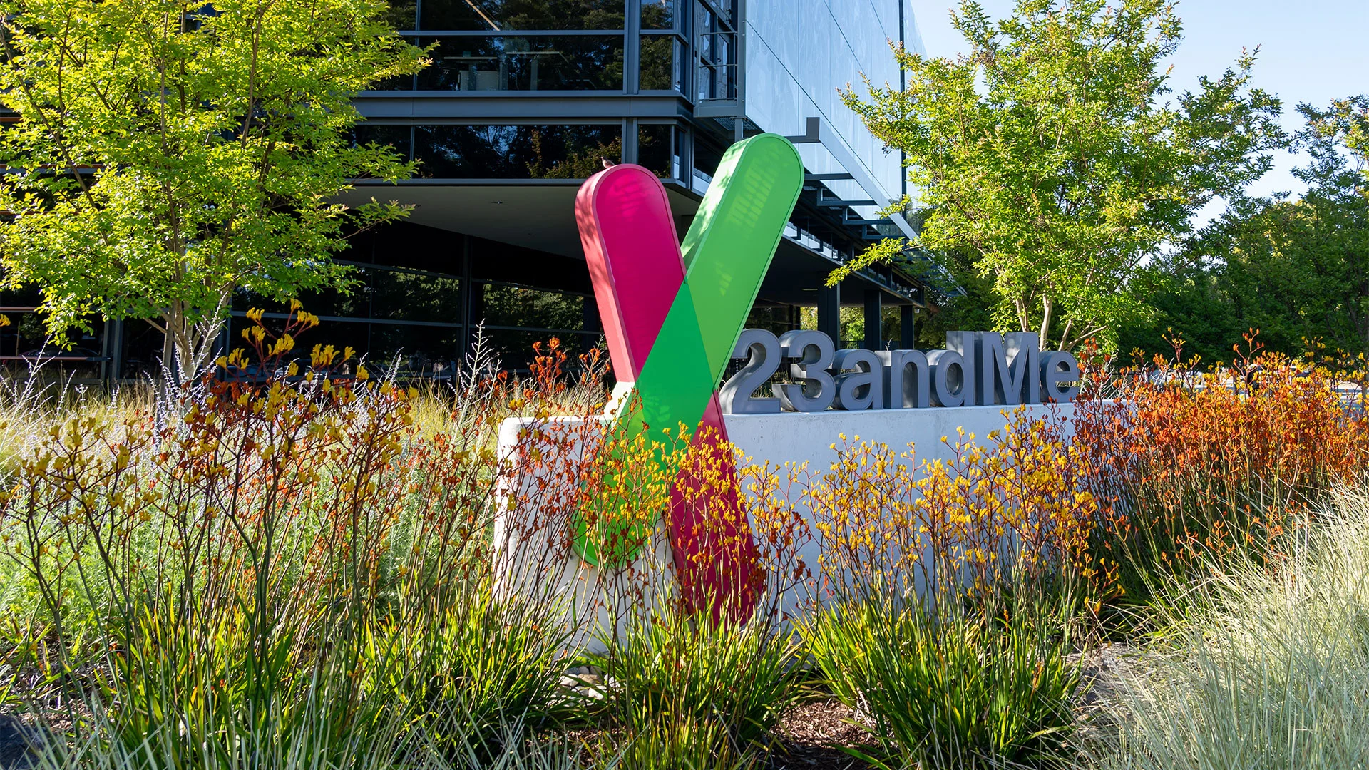 fastcompany.com - Sarah Fielding - 23andMe owes customers money again: Who's eligible for the new $47 million bankruptcy payment