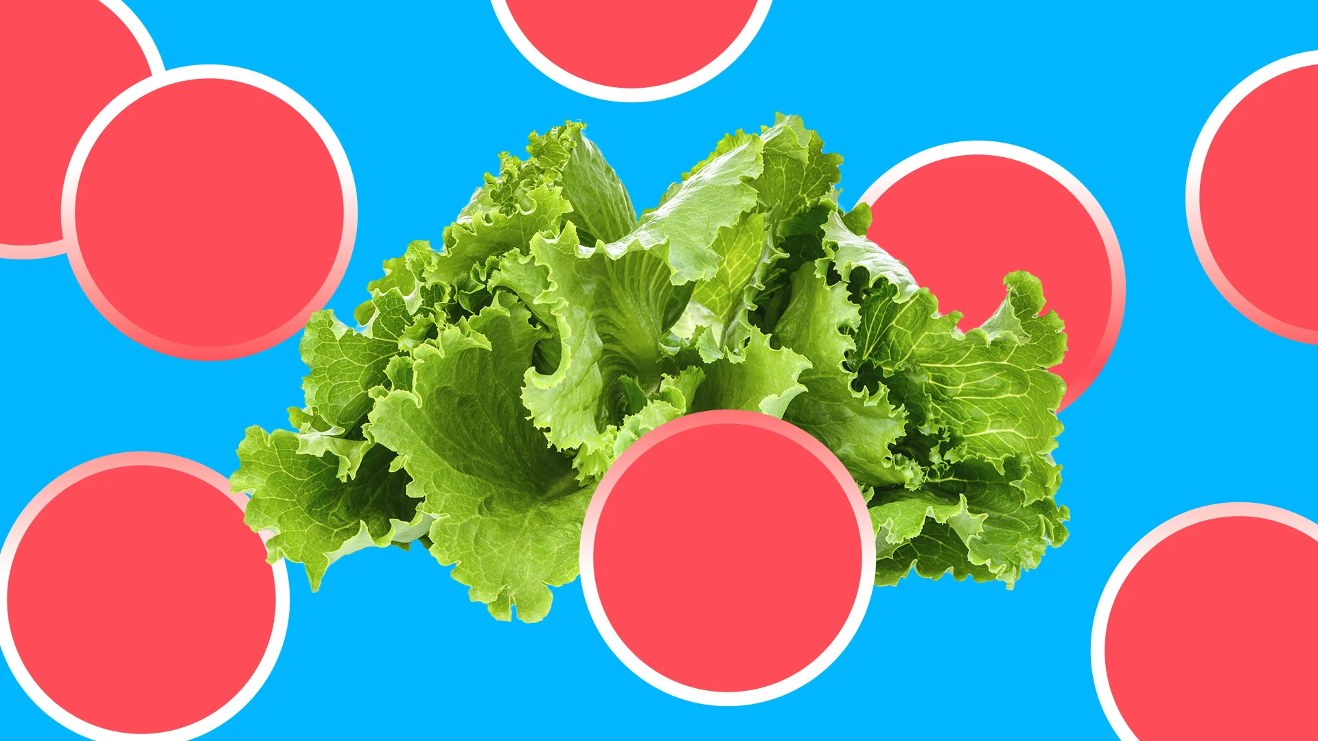 Salads are giving people the ick. What does it mean for slop bowl chains?