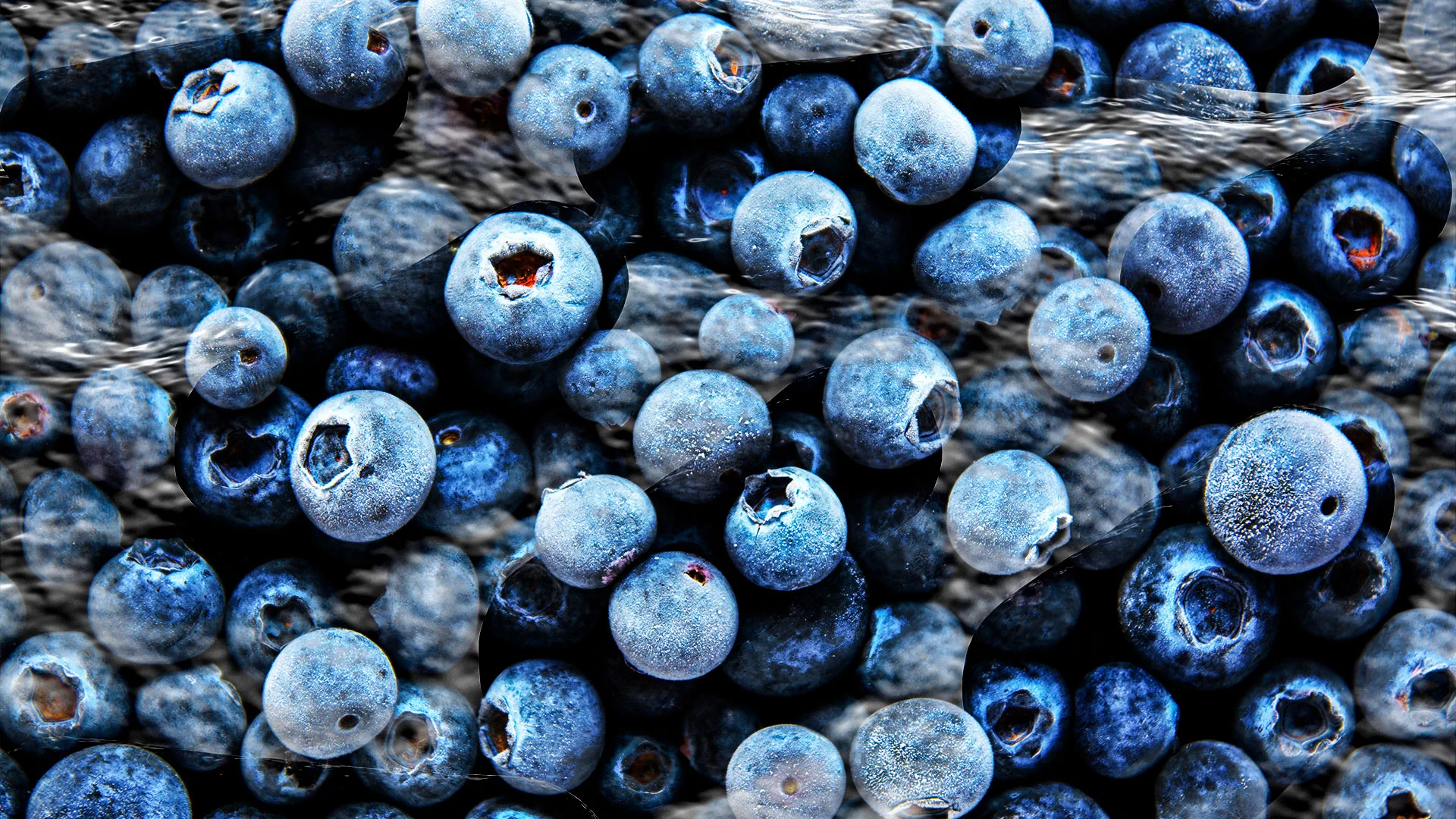 fastcompany.com - Michael Grothaus - Blueberry recall expands to more products sold at Publix as E. coli outbreak hospitalizes 4 people