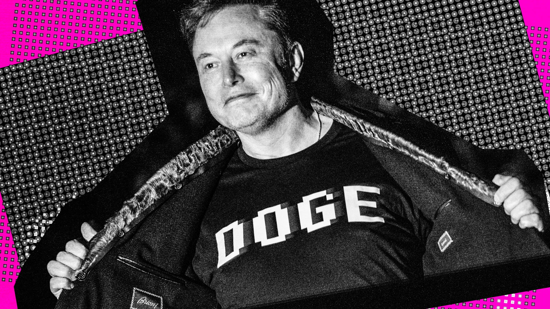 Where are Elon Musk's former DOGE staffers now?