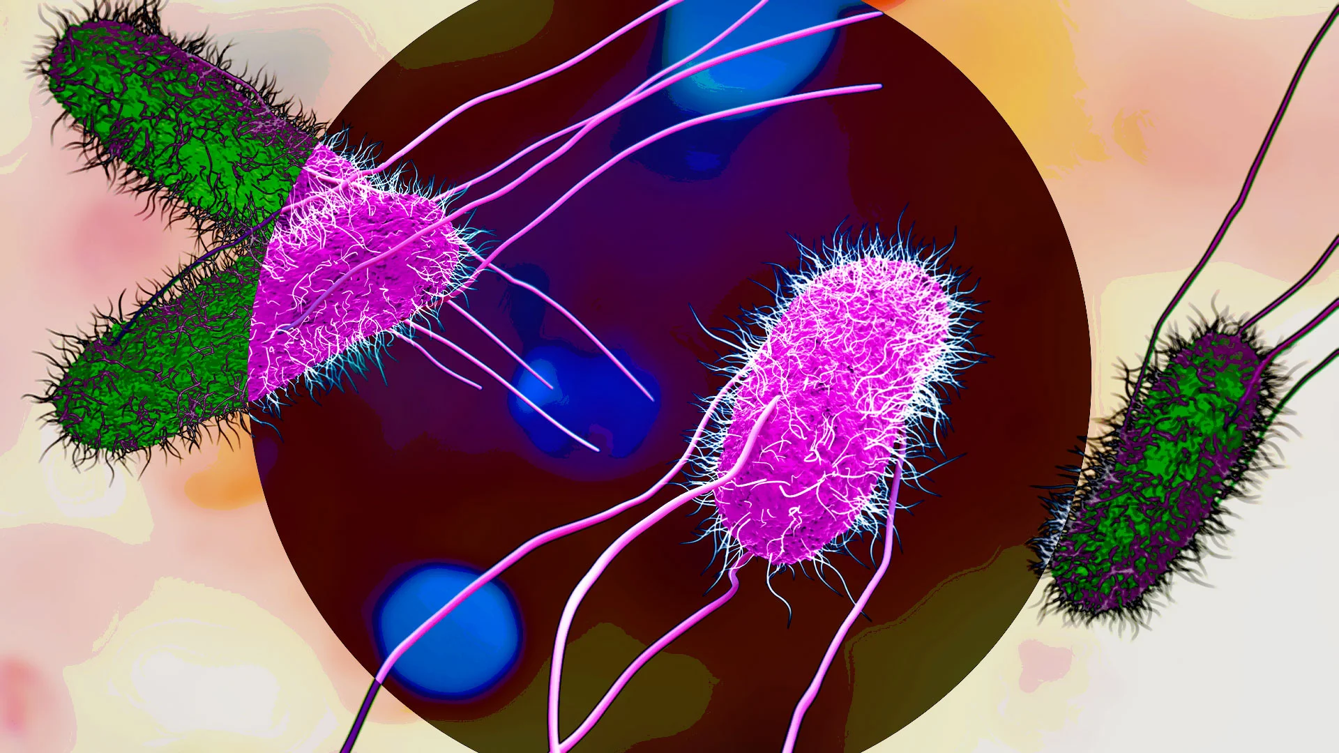 fastcompany.com - Michael Grothaus - Dozens hospitalized as dual salmonella outbreaks spread to more than 30 states. Avoid these products