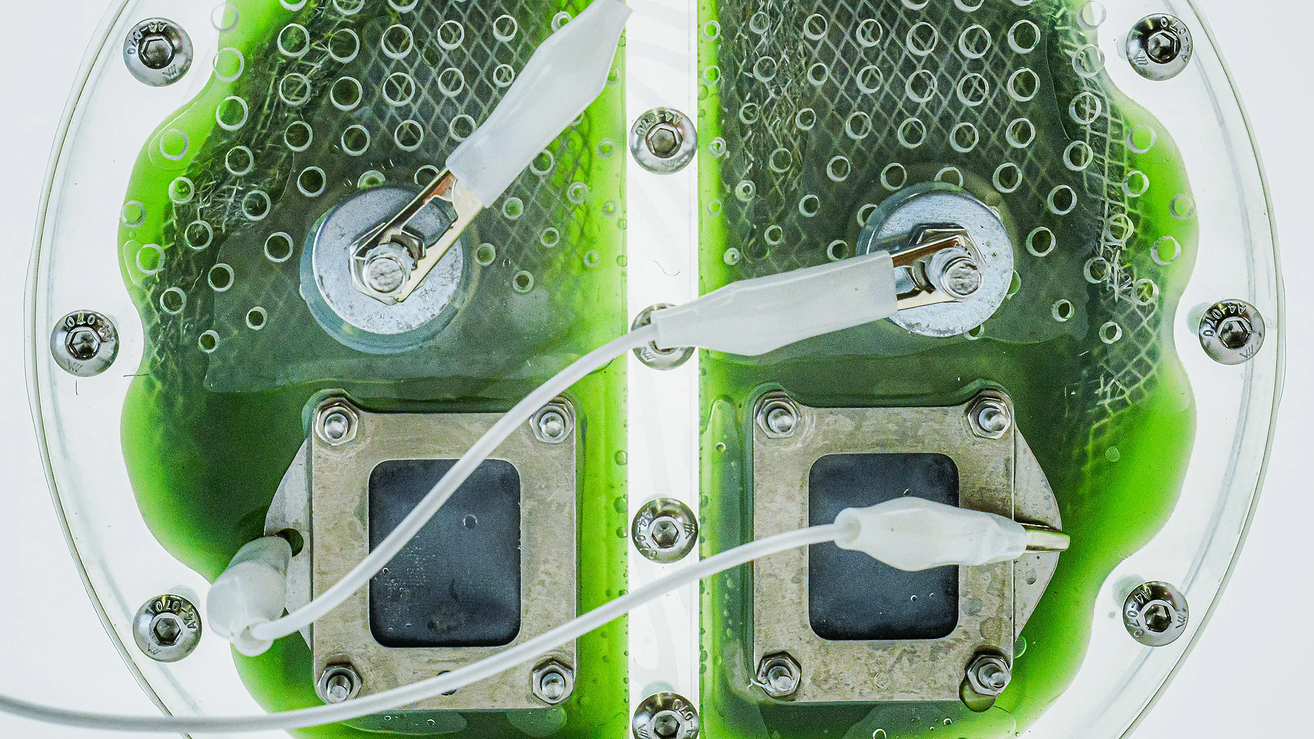 fastcompany.com - María José Gutiérrez Chávez - This battery is powered by algae