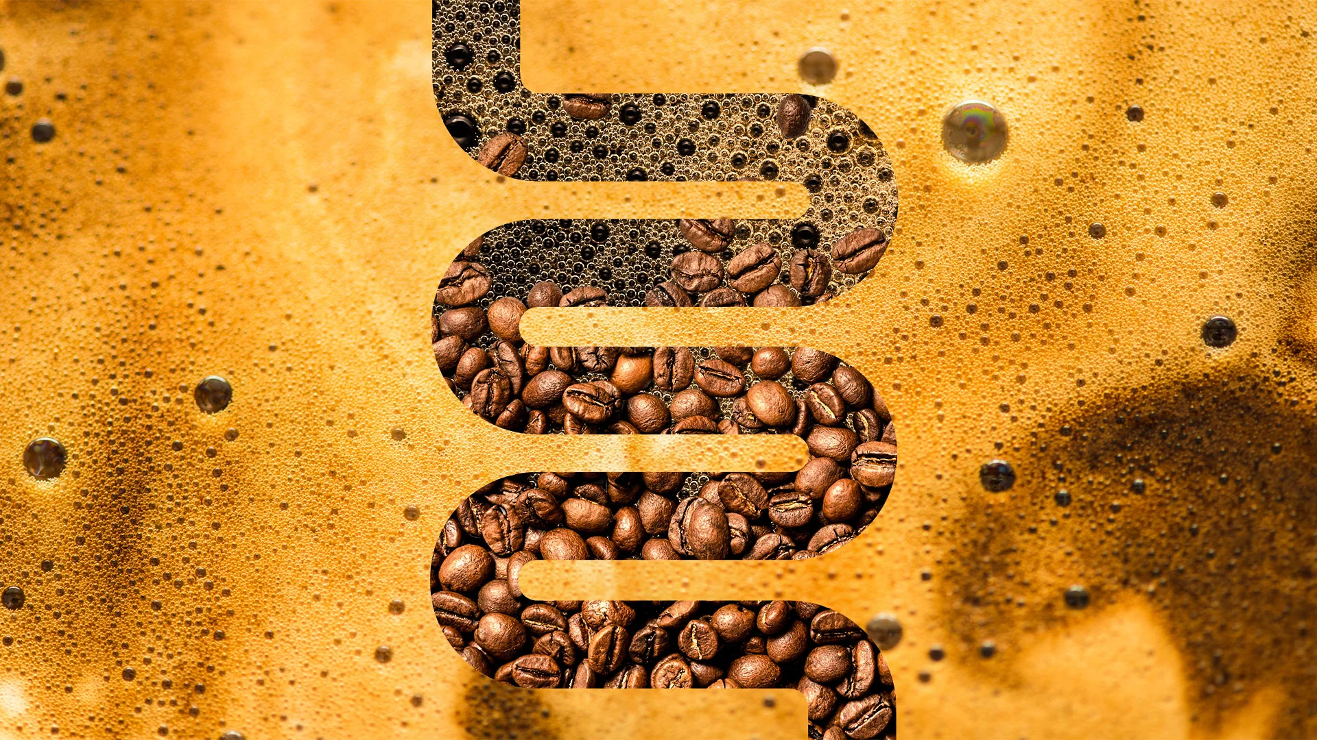New research reveals what coffee really does to your gut—and it’s ...