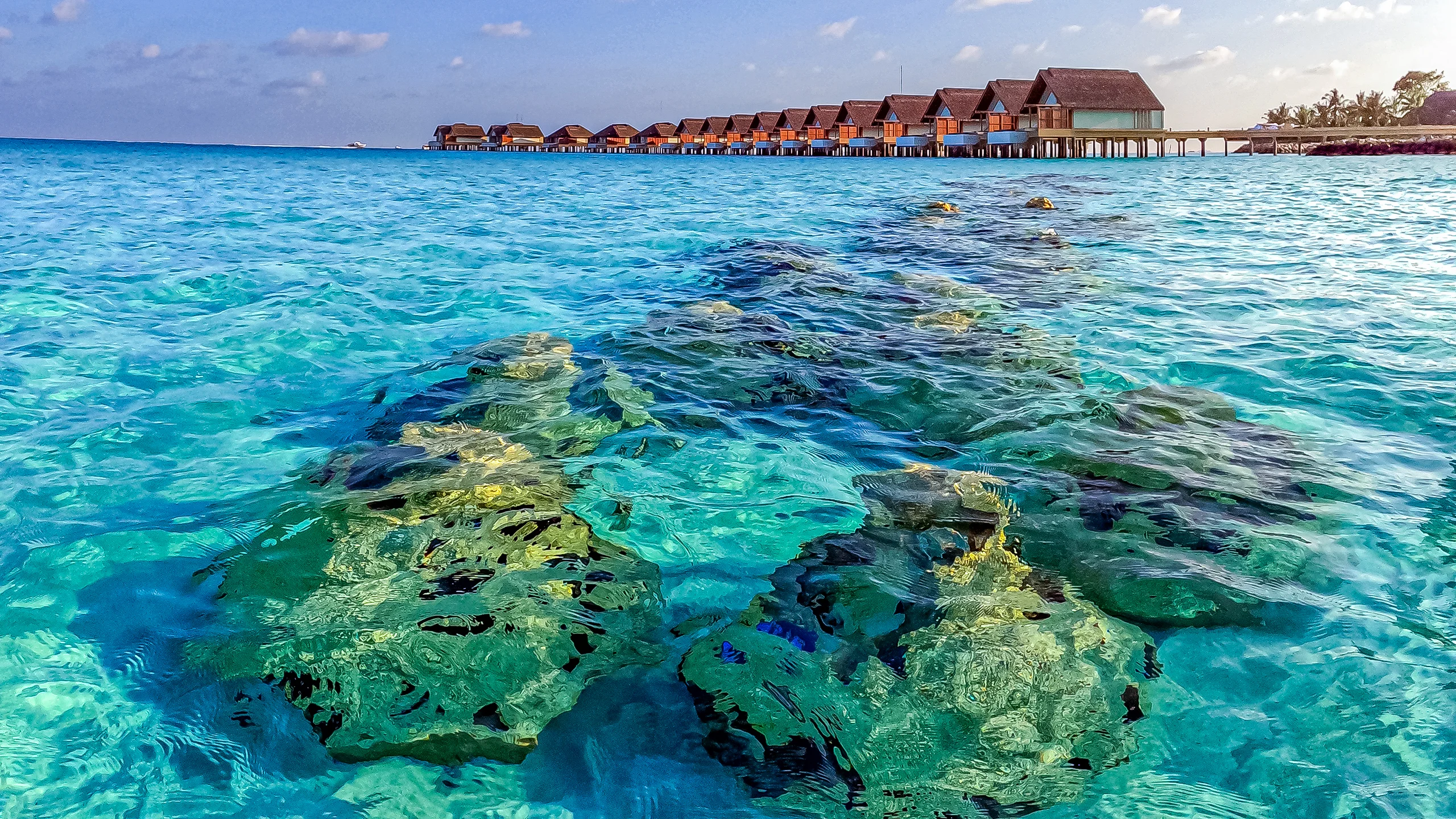 fastcompany.com - Adele Peters - This MIT spinout designed an artificial reef to save shrinking beaches