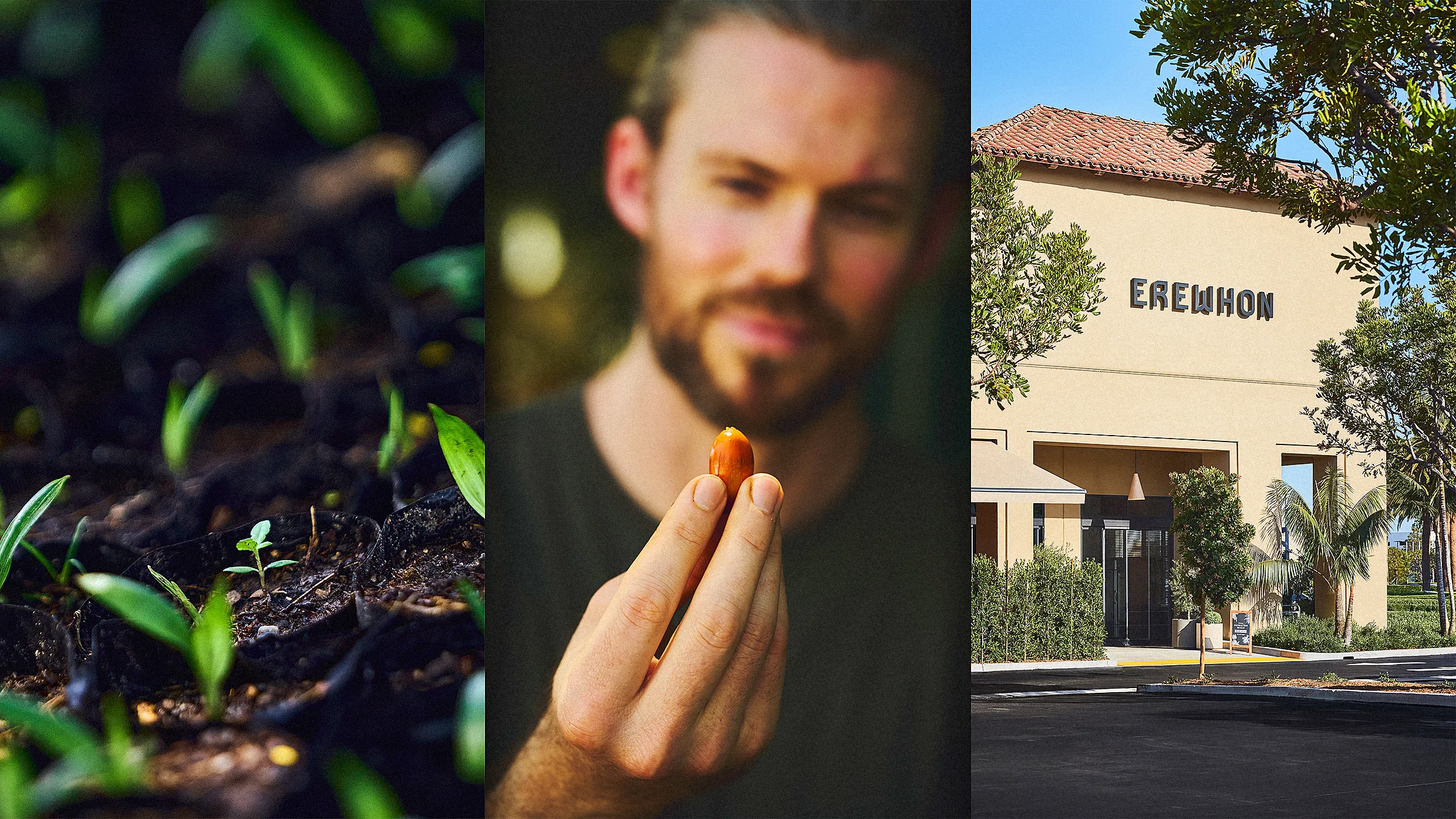 fastcompany.com - Kristin Toussaint - Upscale grocery chain Erewhon will now fry its hot bar foods in this regeneratively farmed oil